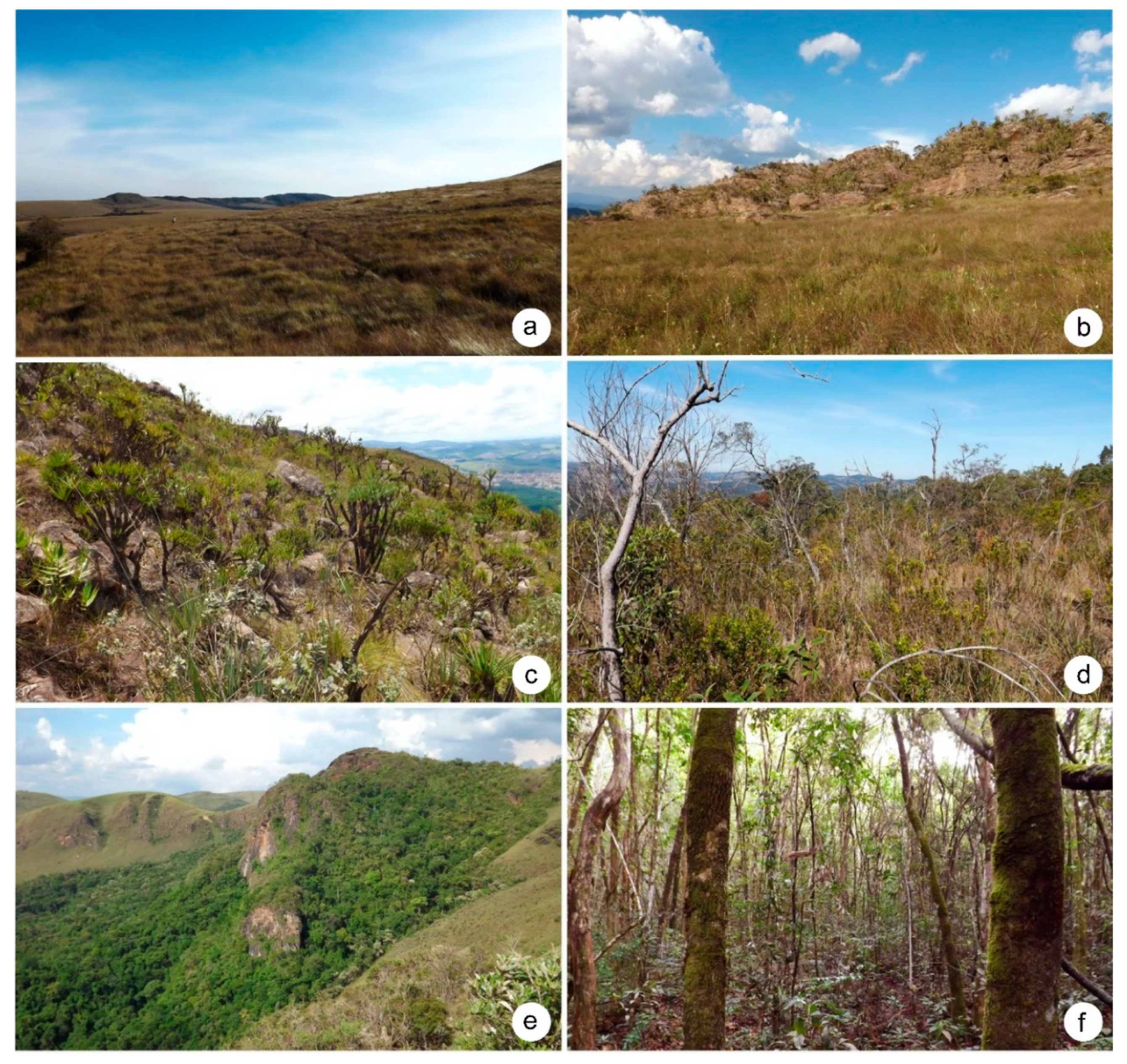 Geosciences 10 00106 g002