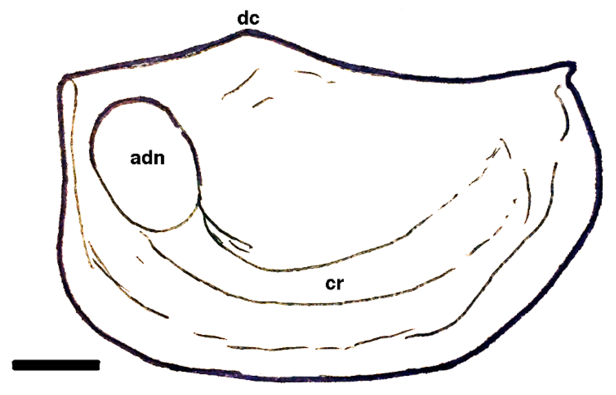 Geosciences 10 00119 g010