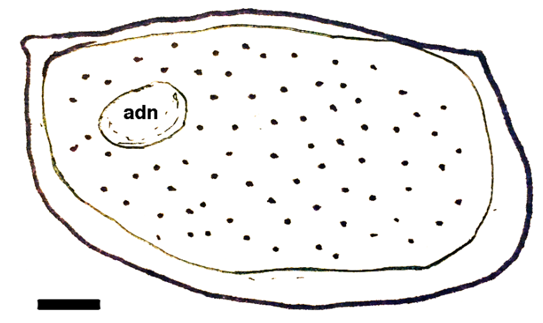 Geosciences 10 00119 g013