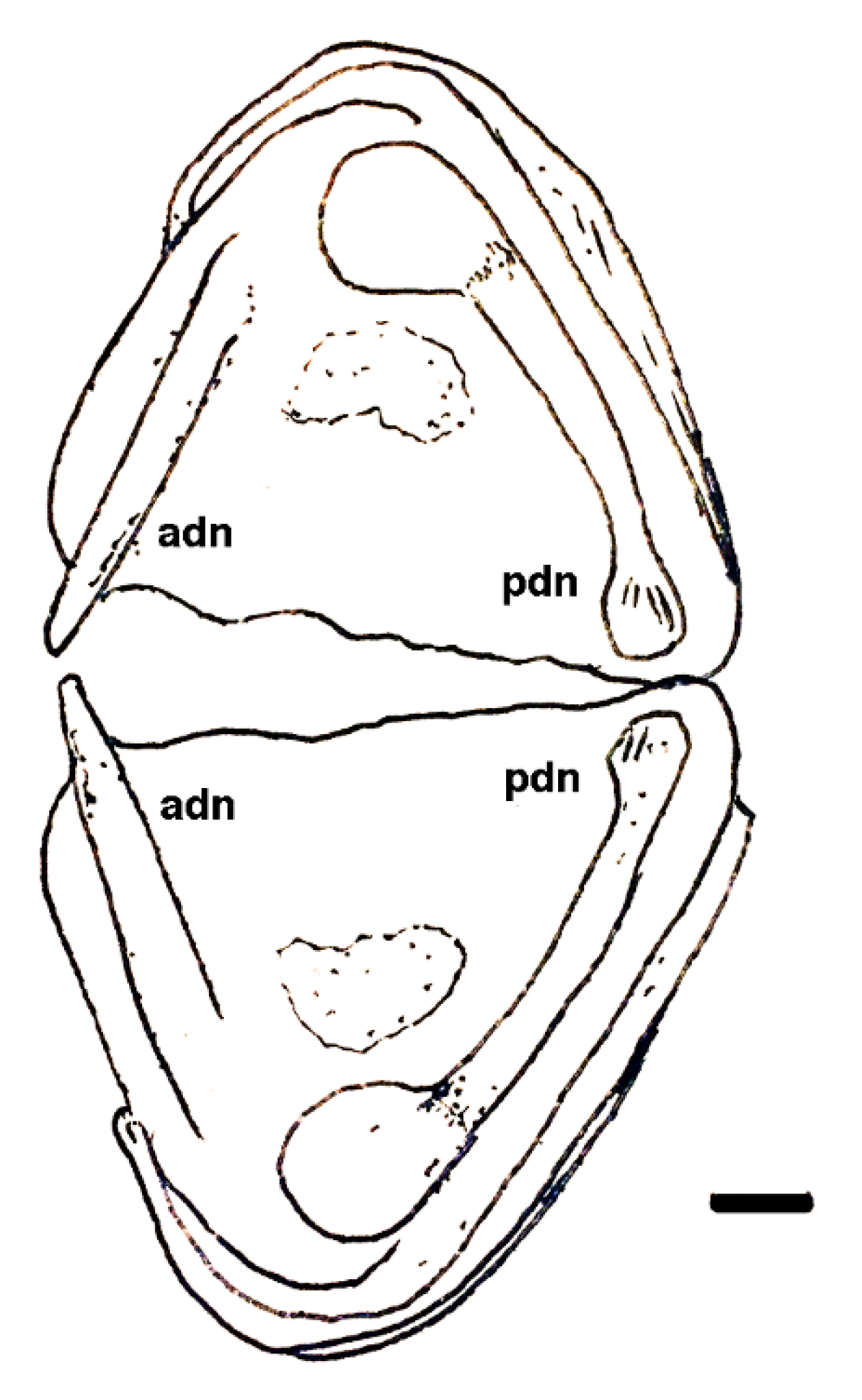 Geosciences 10 00119 g016