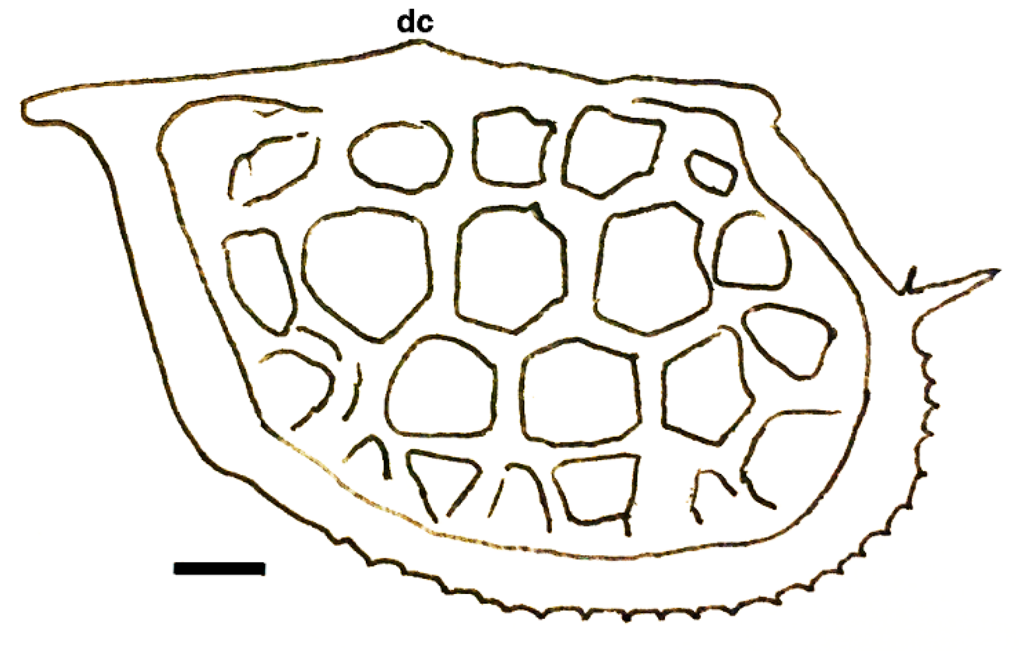 Geosciences 10 00119 g019