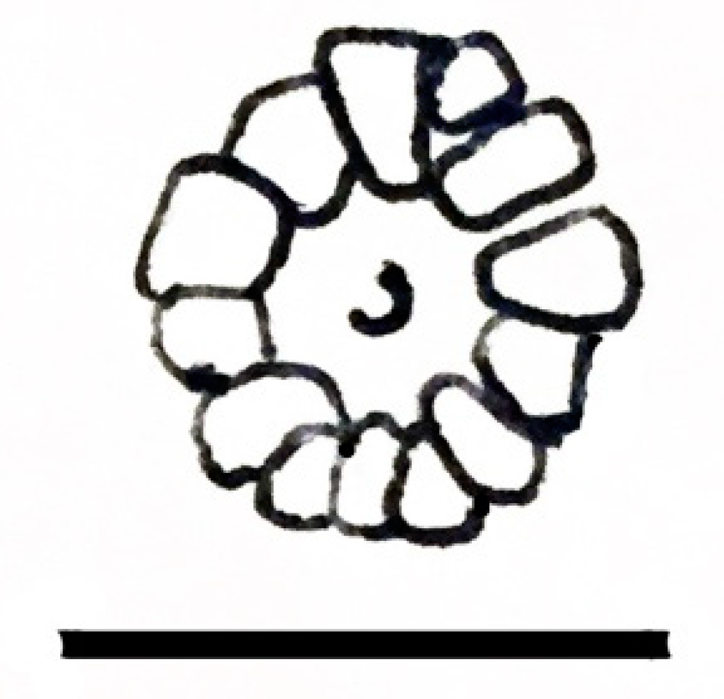 Geosciences 10 00119 g022