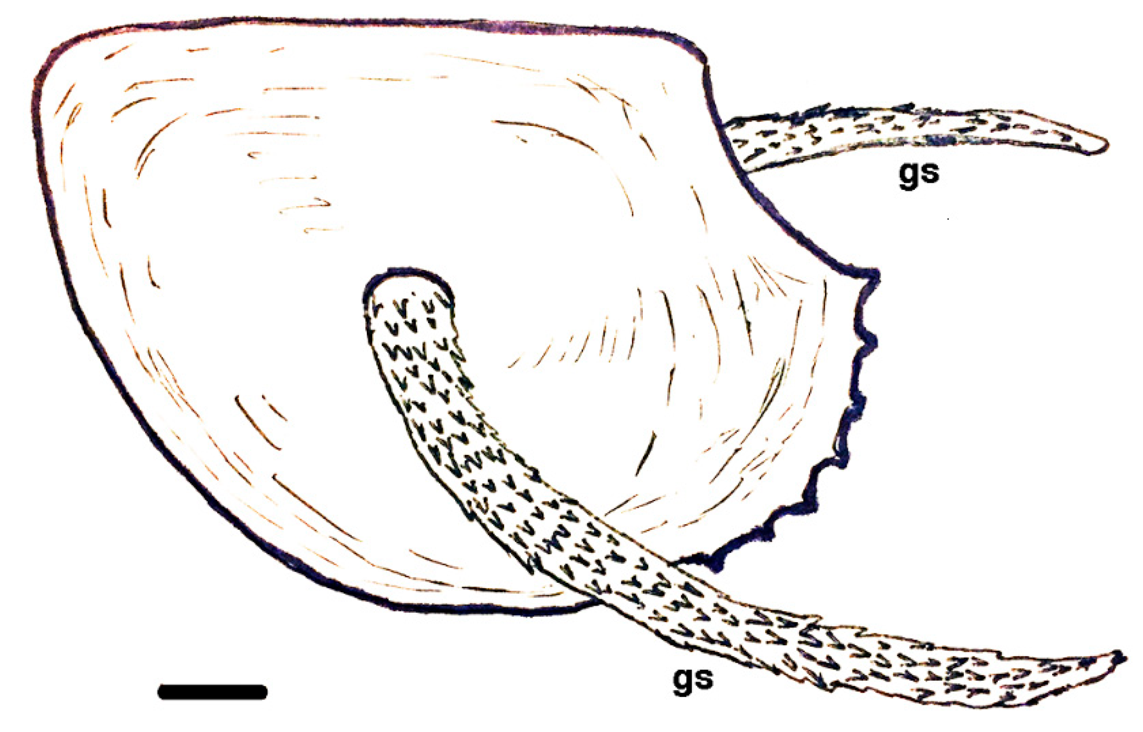 Geosciences 10 00119 g023