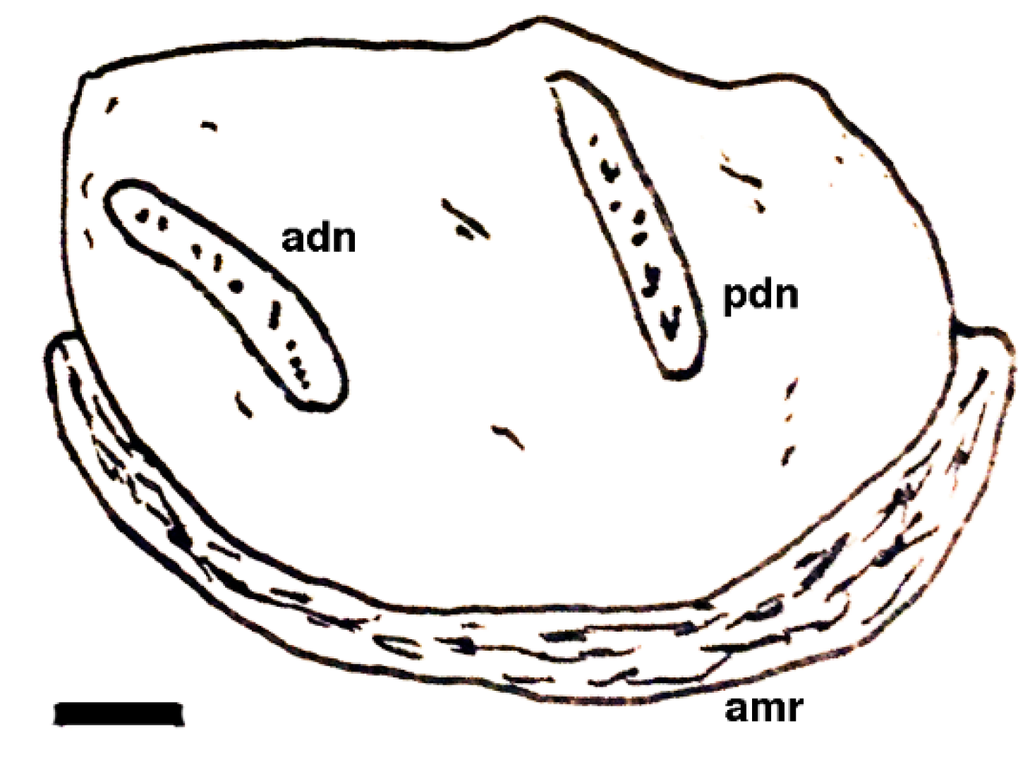 Geosciences 10 00119 g024