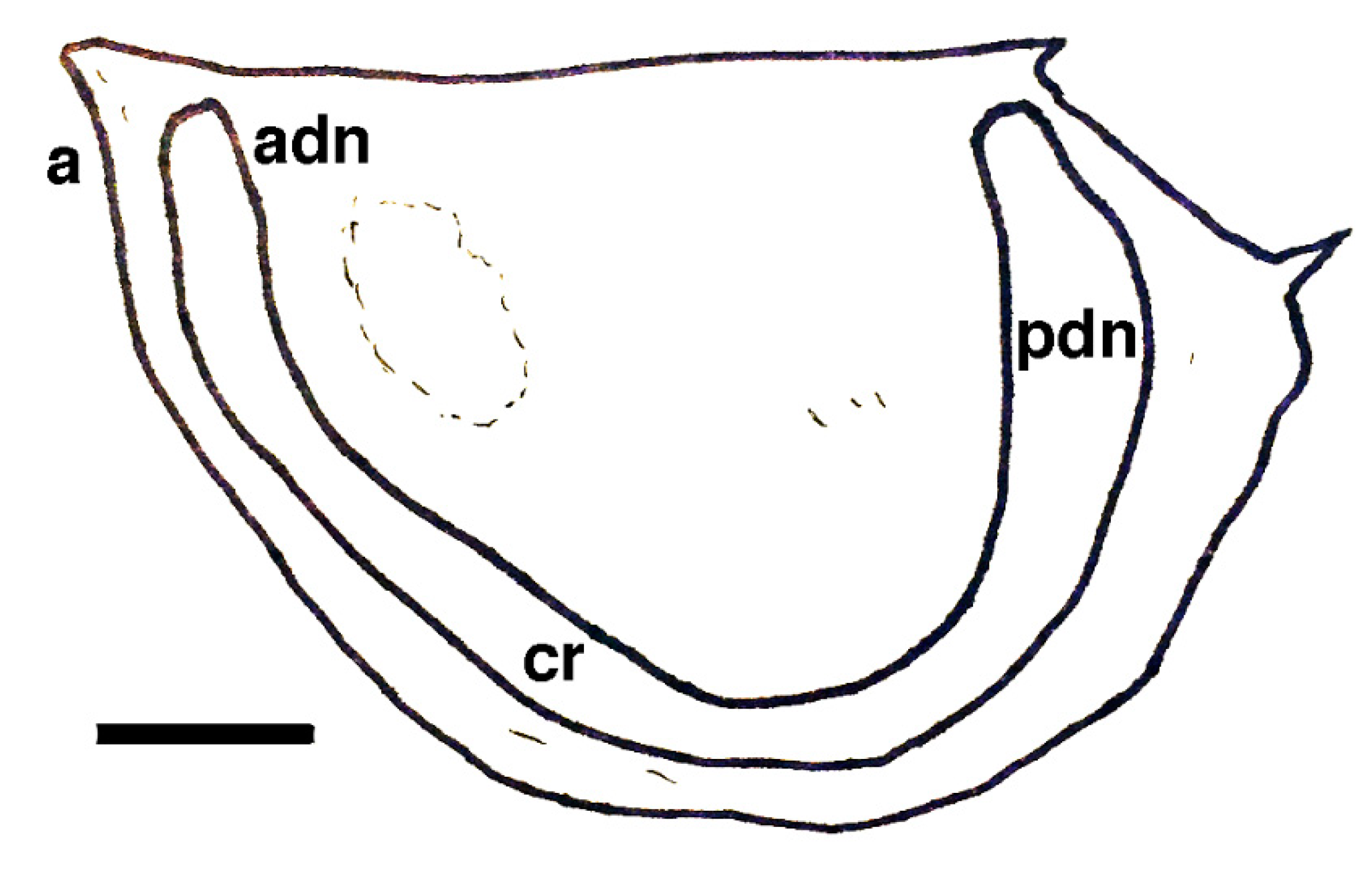 Geosciences 10 00119 g025