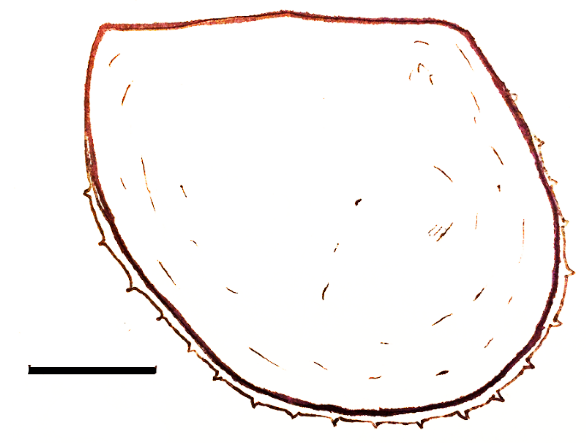 Geosciences 10 00119 g030