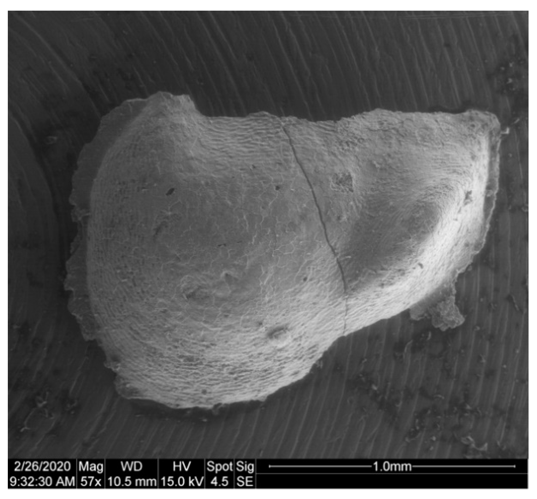 Geosciences 10 00119 g031