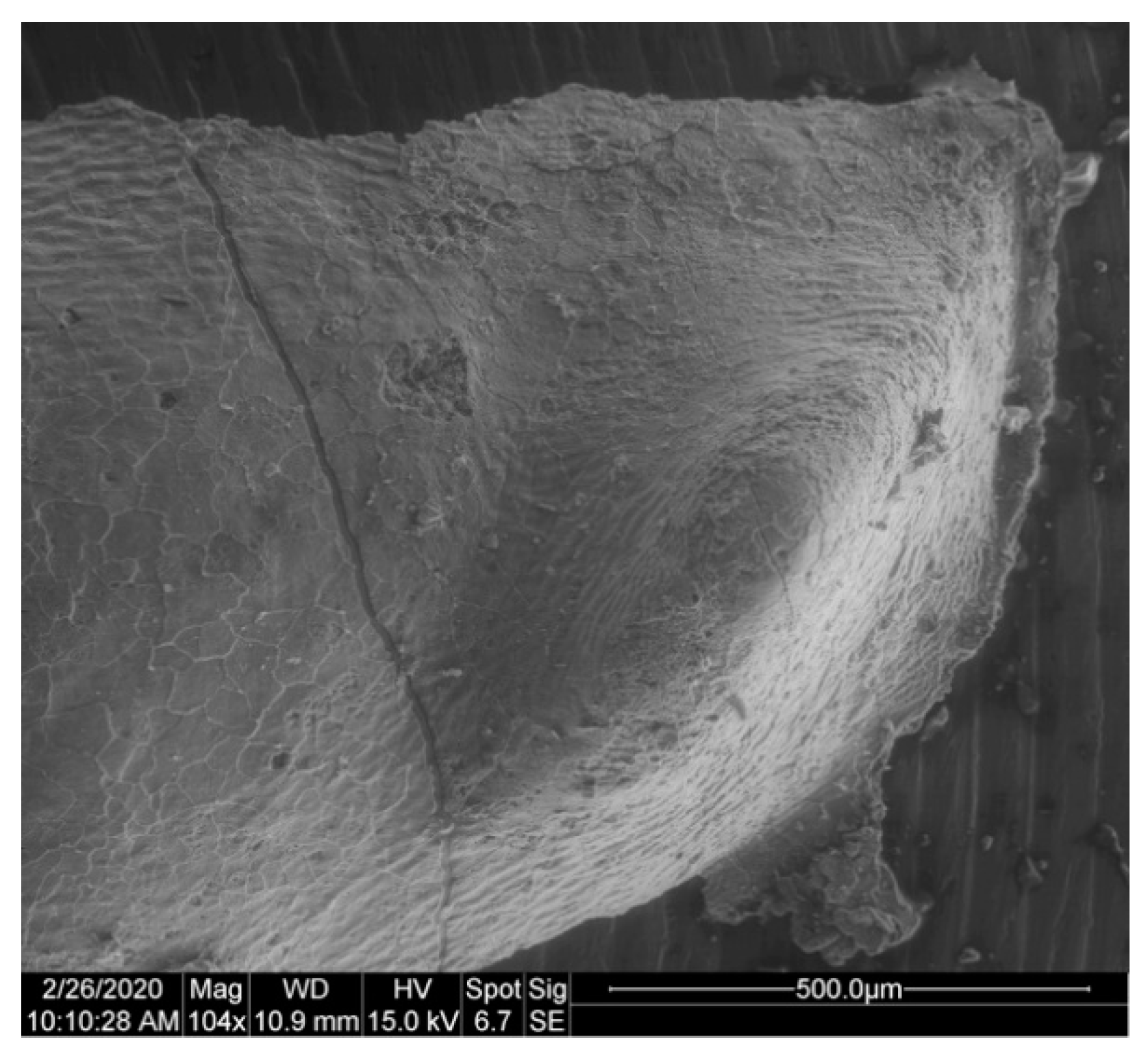 Geosciences 10 00119 g032