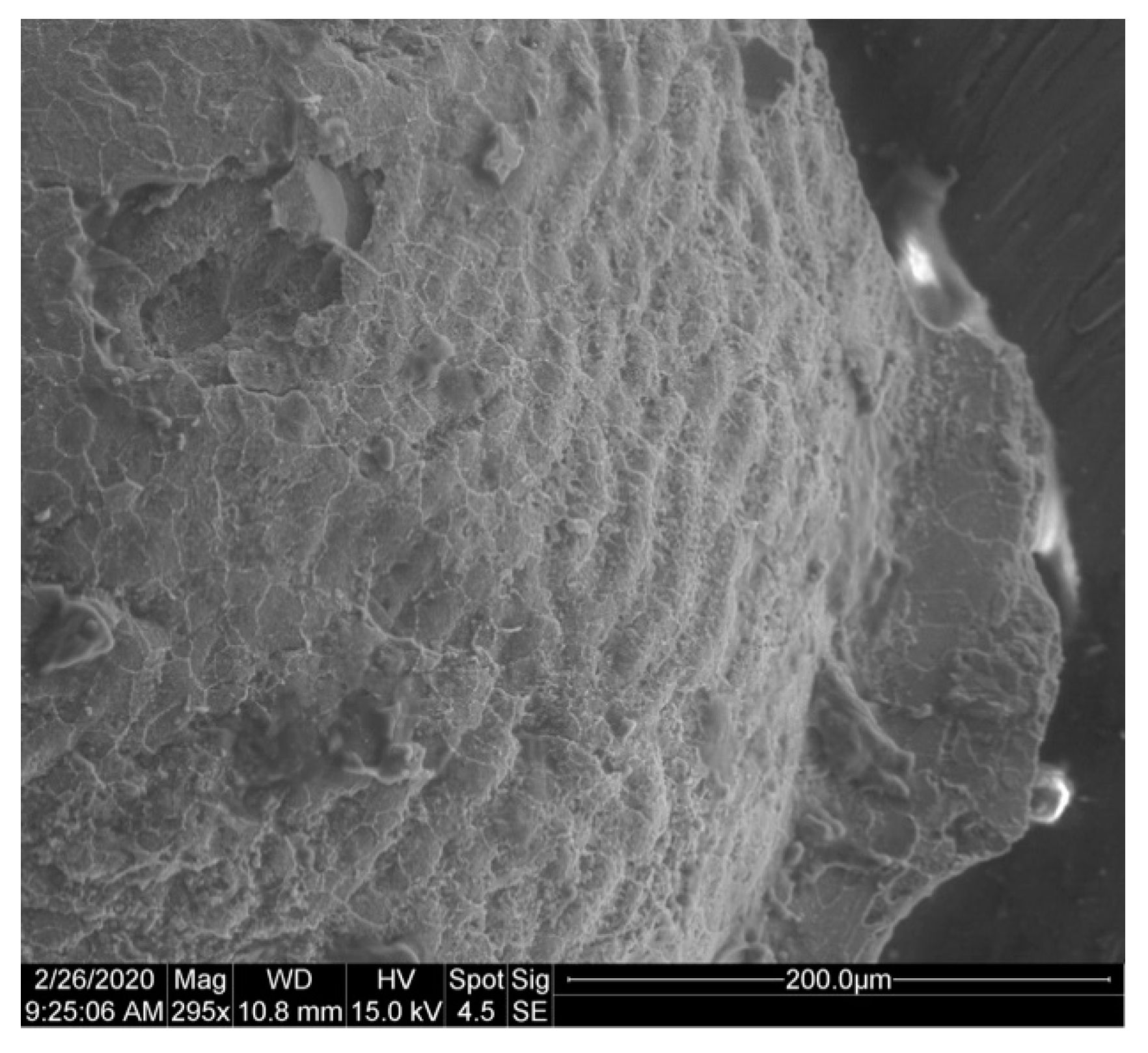 Geosciences 10 00119 g035