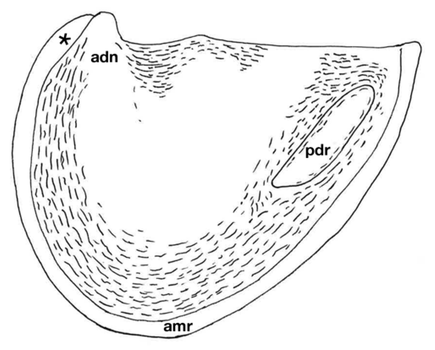 Geosciences 10 00119 g036