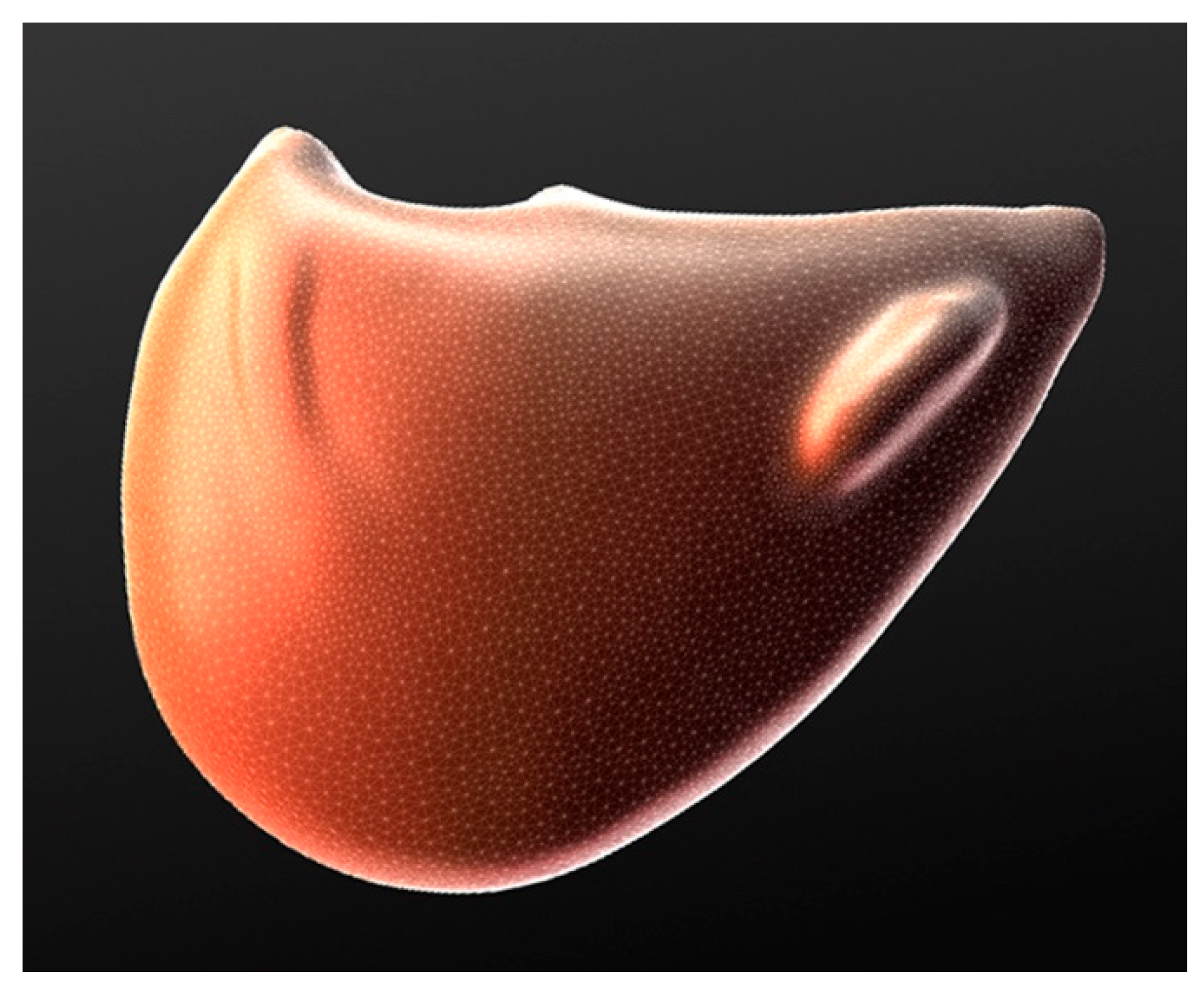Geosciences 10 00119 g037