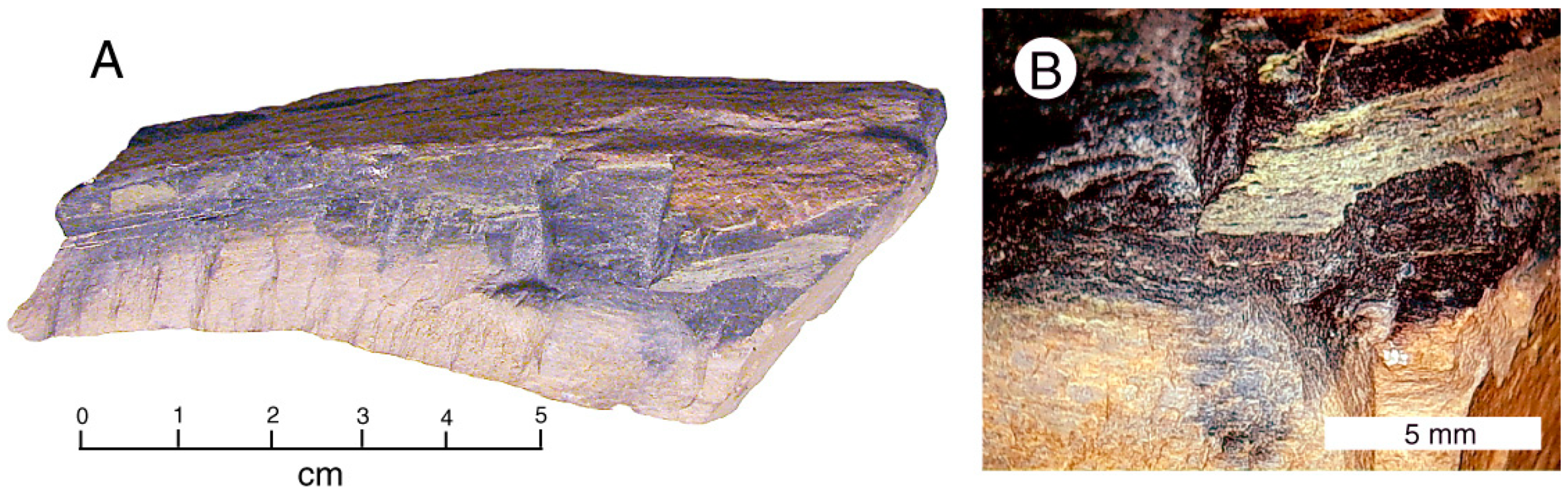 Geosciences 10 00133 g006 Geosciences 10 00133 g006