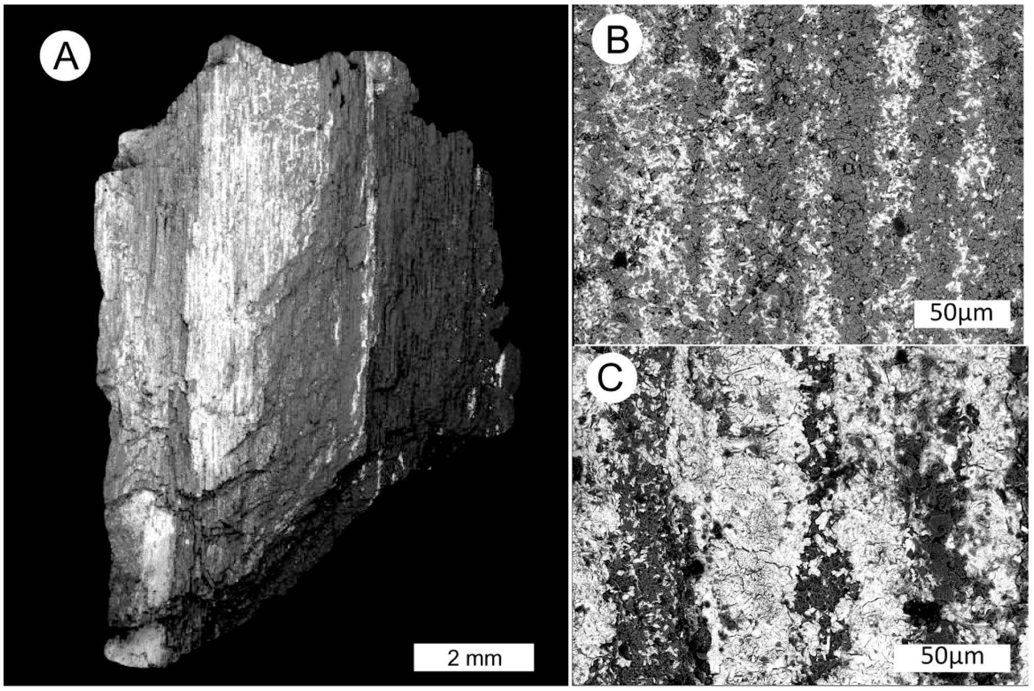 Geosciences 10 00133 g009 Geosciences 10 00133 g009
