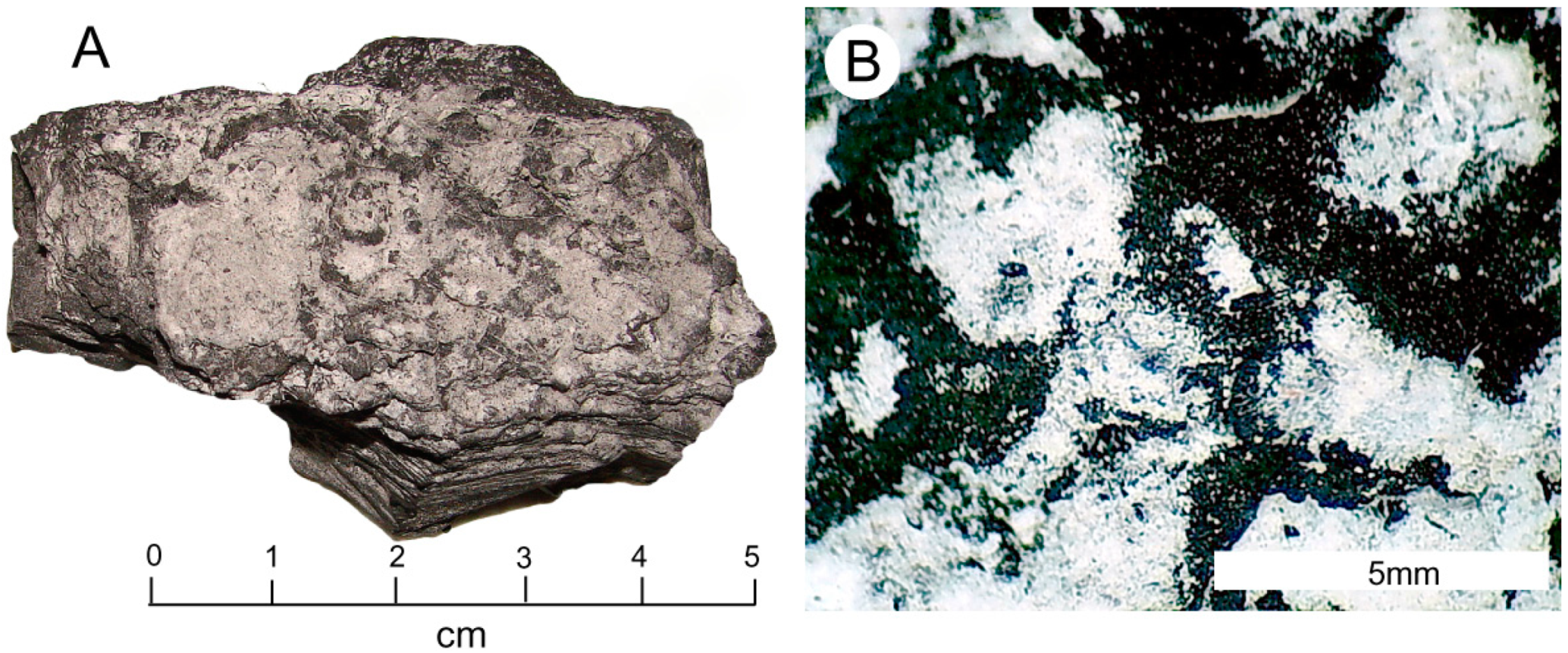 Geosciences 10 00133 g010 Geosciences 10 00133 g010