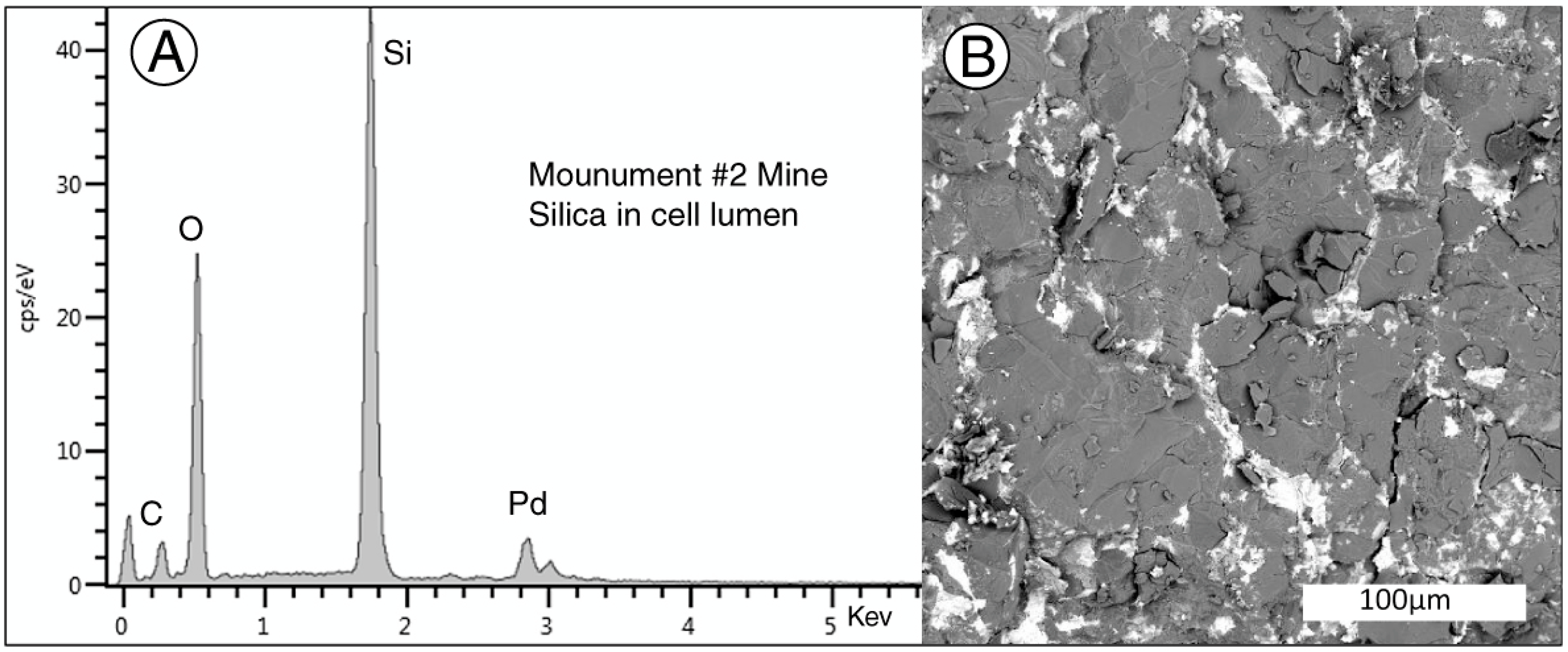 Geosciences 10 00133 g024 Geosciences 10 00133 g024