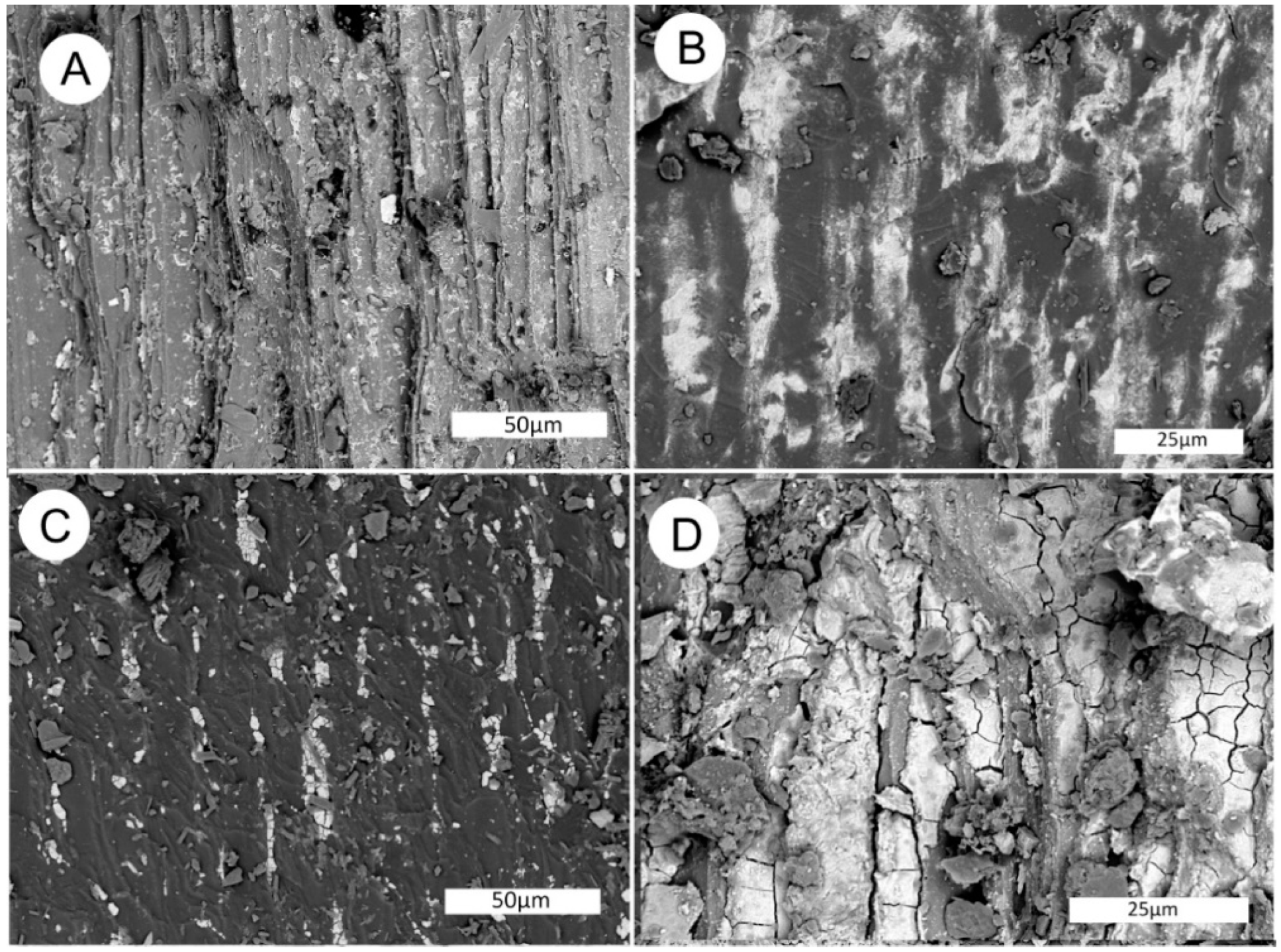 Geosciences 10 00133 g026a Geosciences 10 00133 g026a