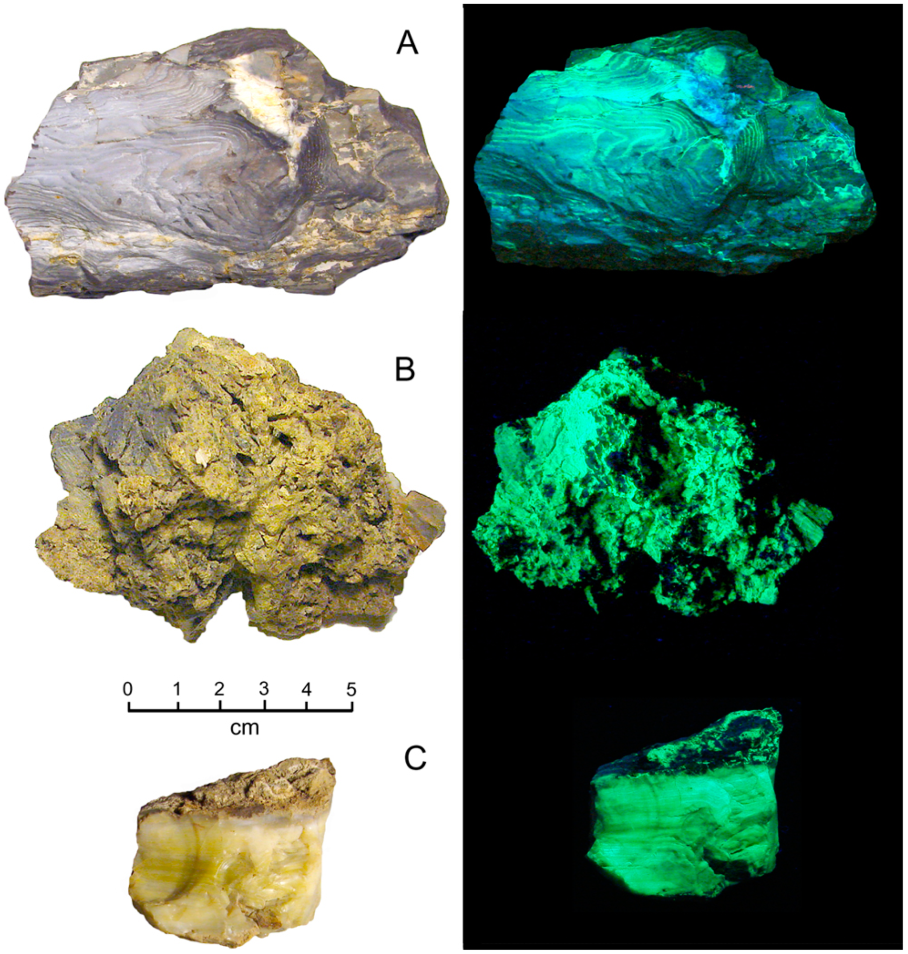 Geosciences 10 00133 g029 Geosciences 10 00133 g029