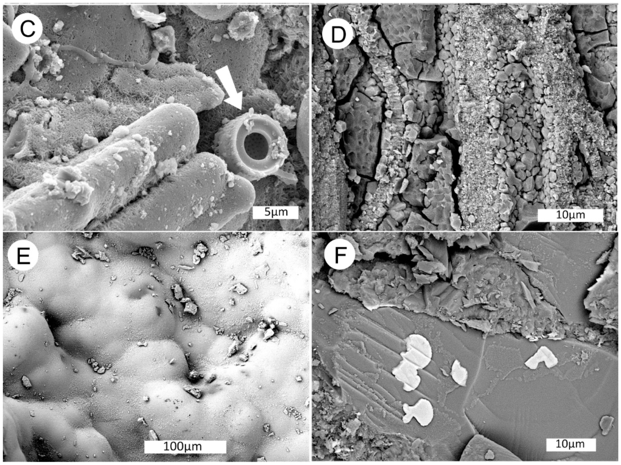 Geosciences 10 00133 g031b Geosciences 10 00133 g031b