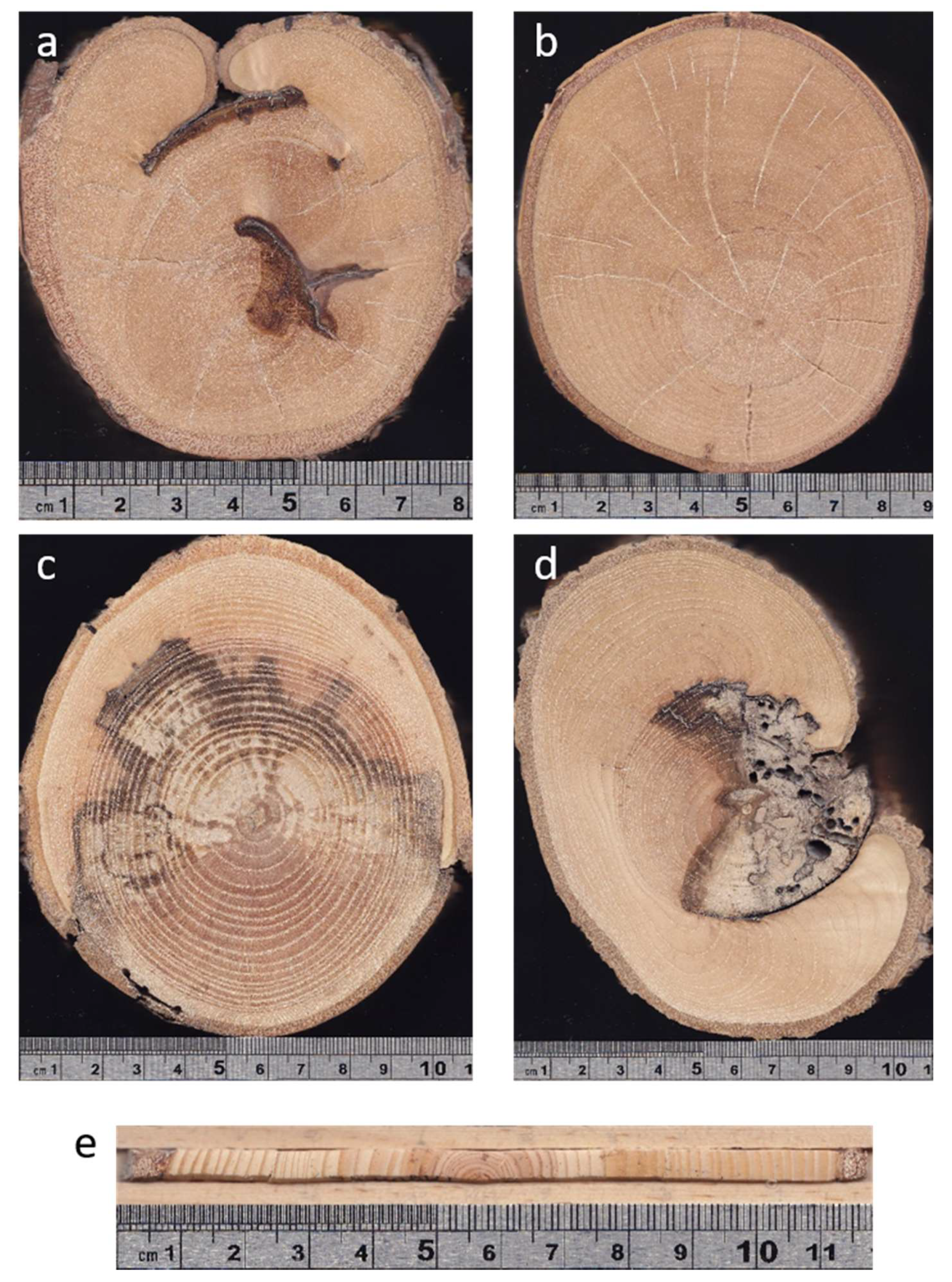 Geosciences 10 00169 g005