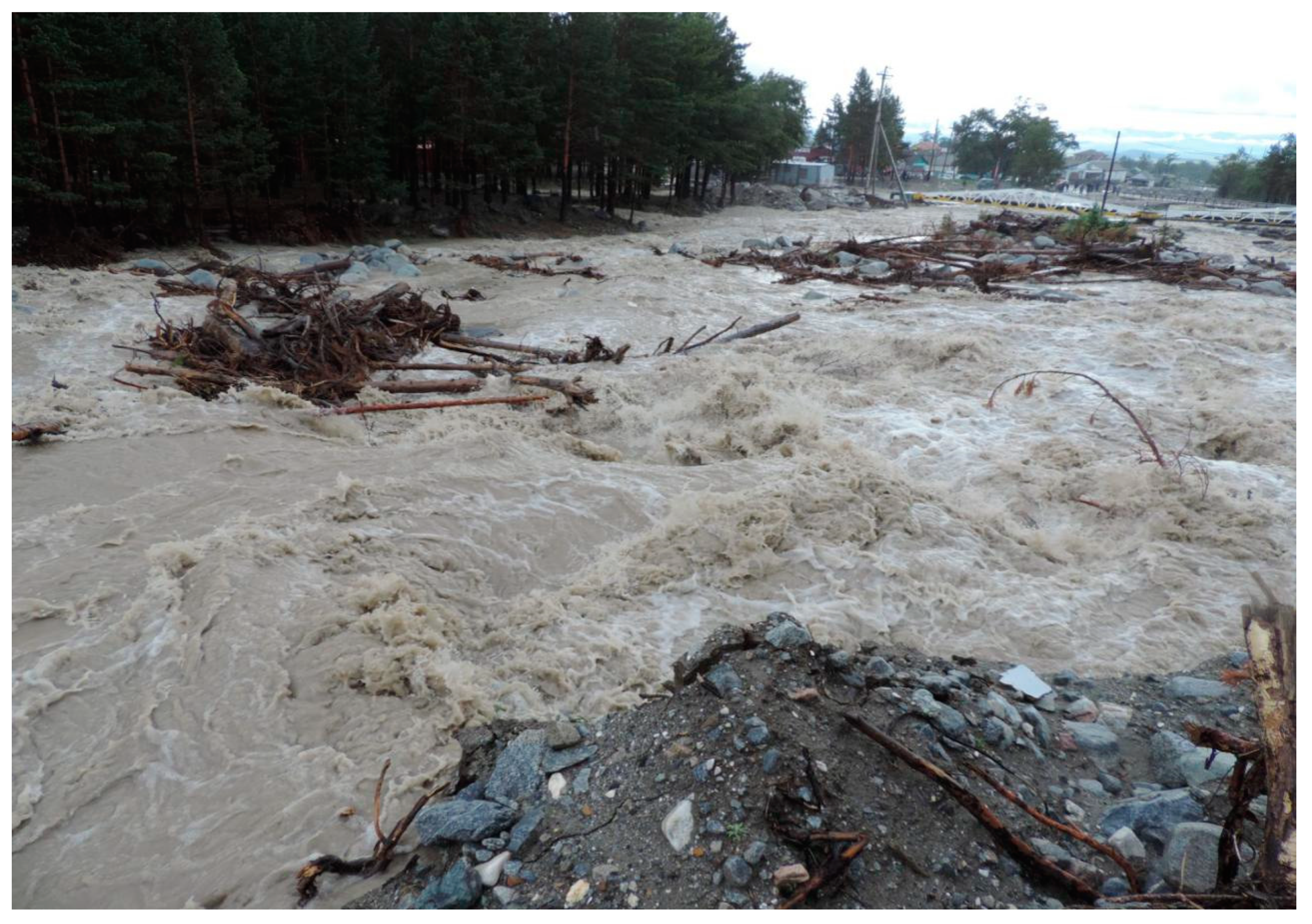 Geosciences 10 00176 g014