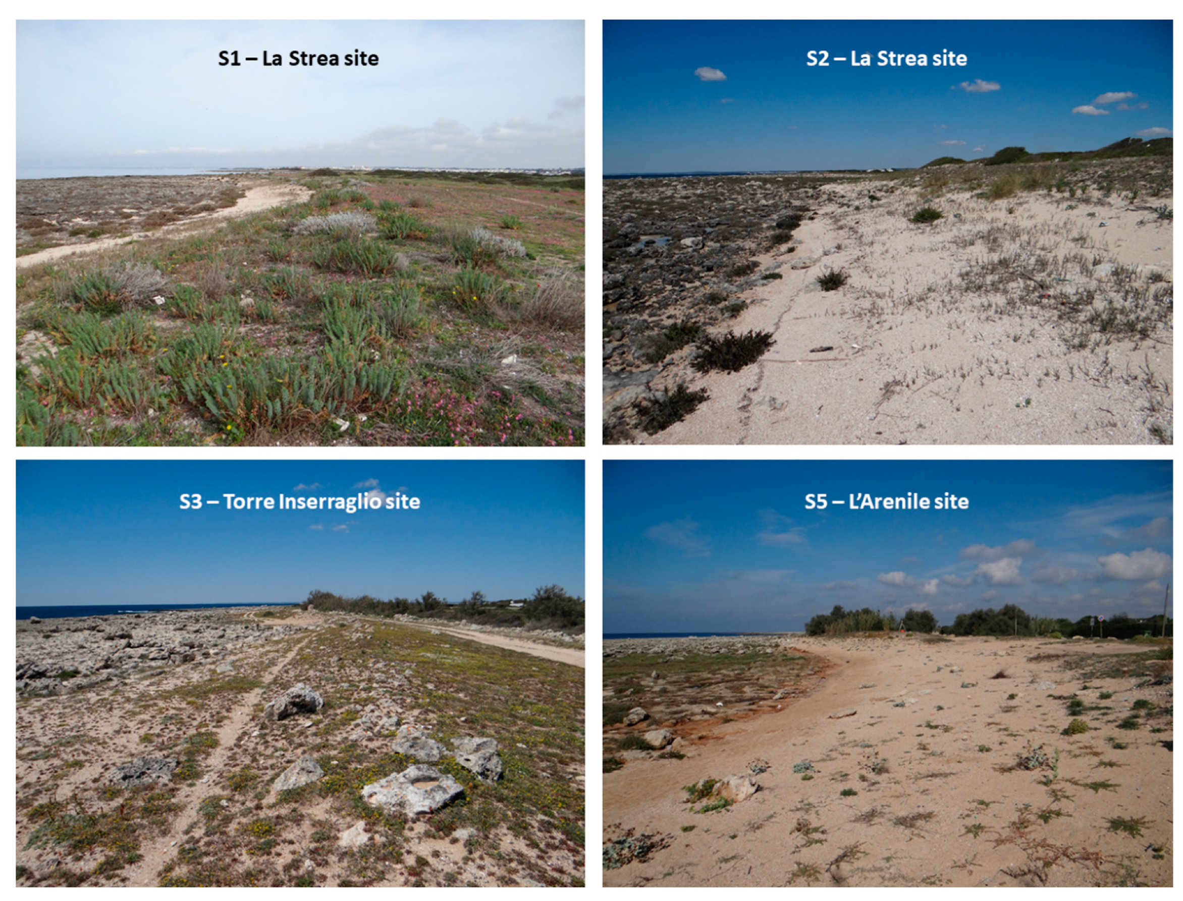 Geosciences 10 00204 g008