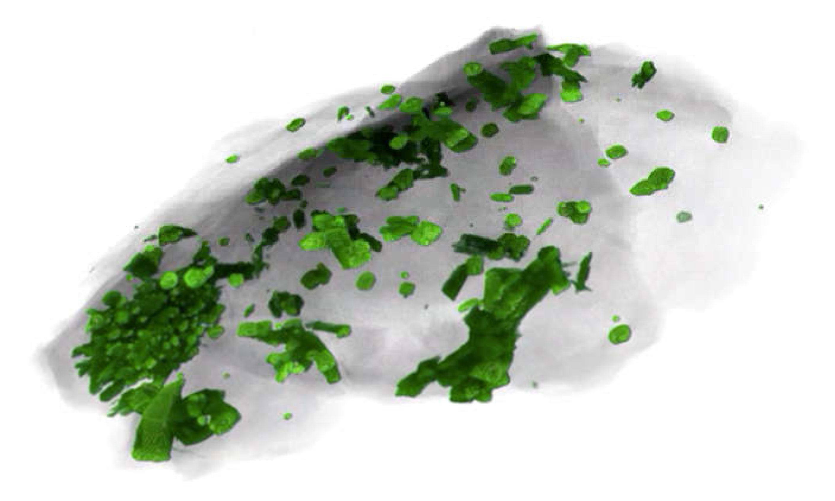 Geosciences 10 00212 g004