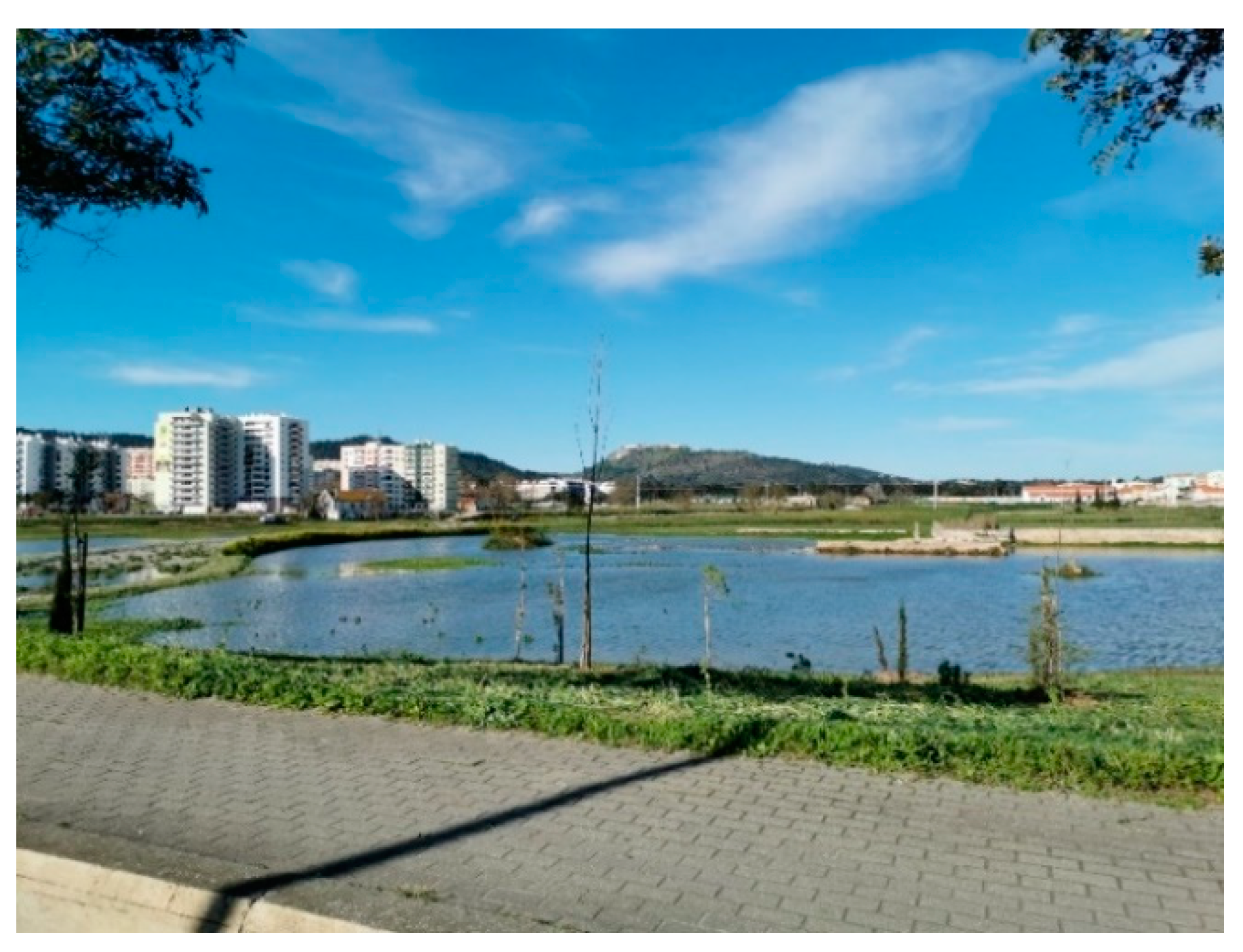 Geosciences 10 00243 g007