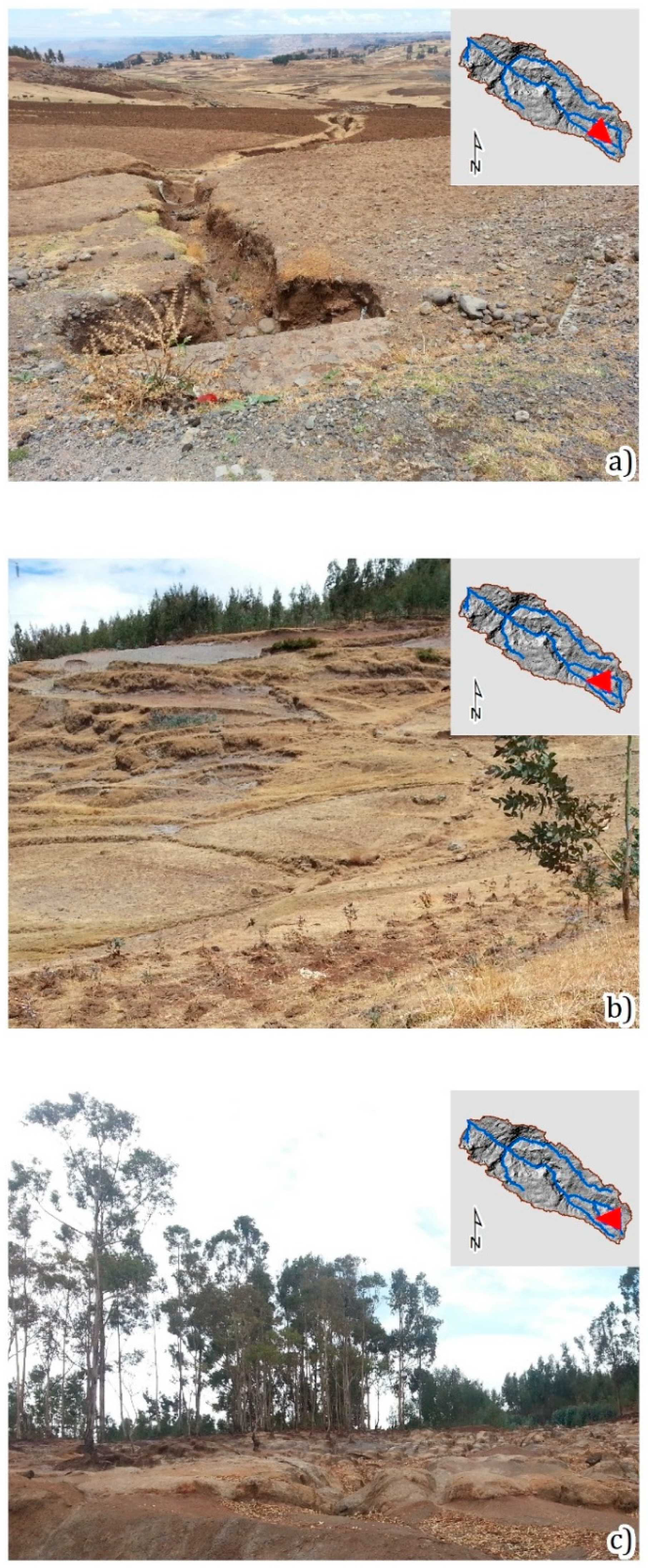 Geosciences 10 00248 g002