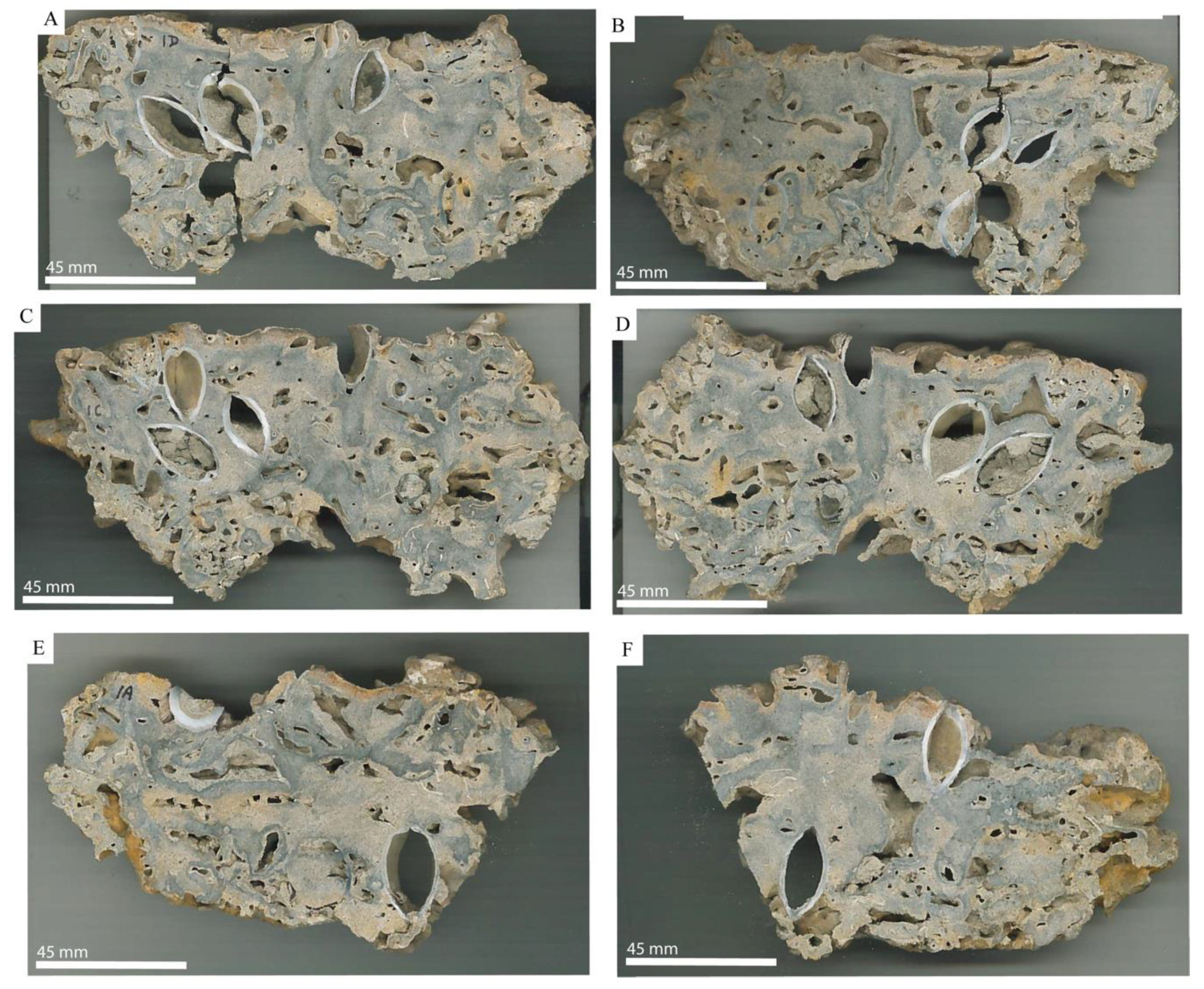 Geosciences 10 00255 g002