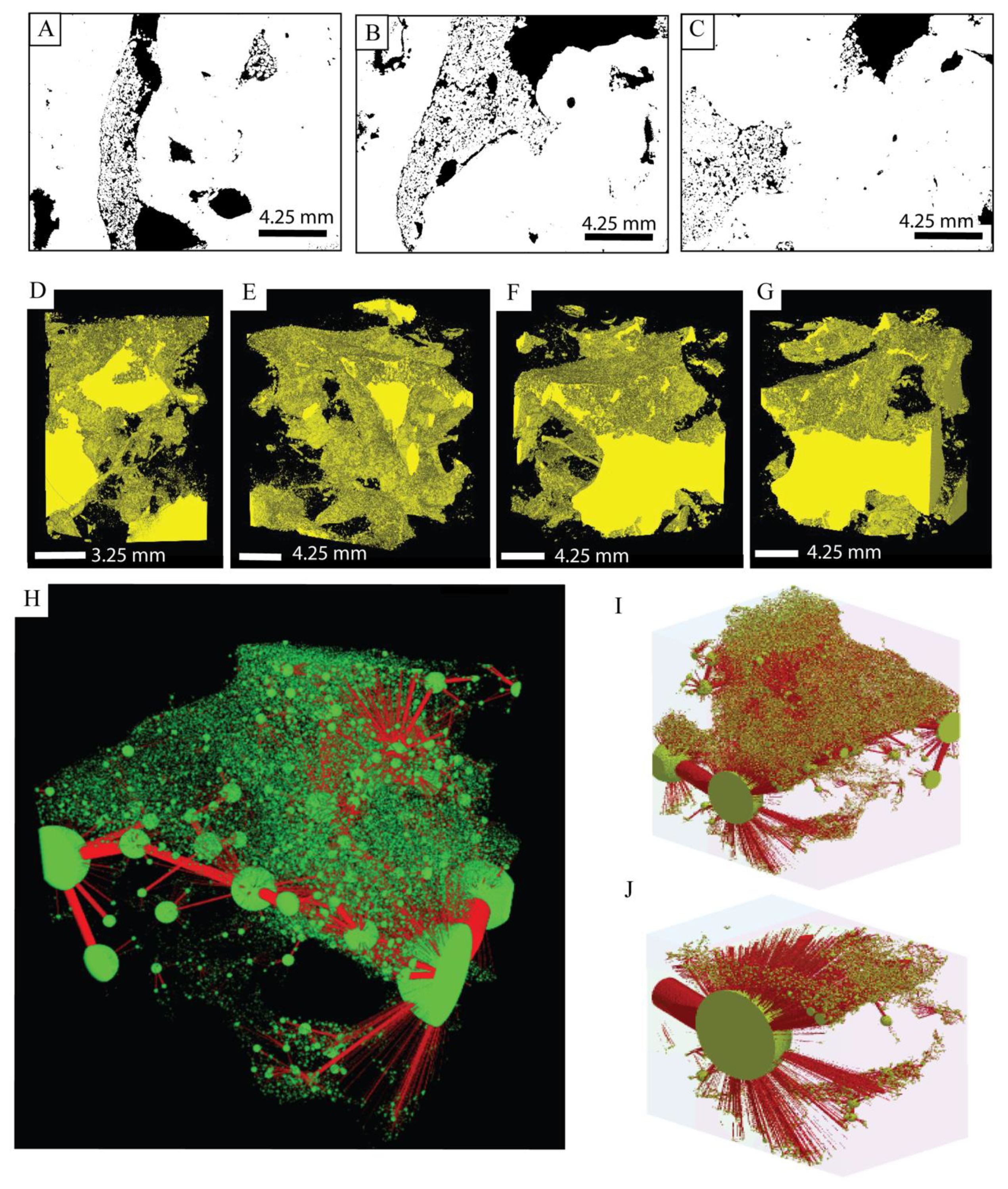 Geosciences 10 00255 g008