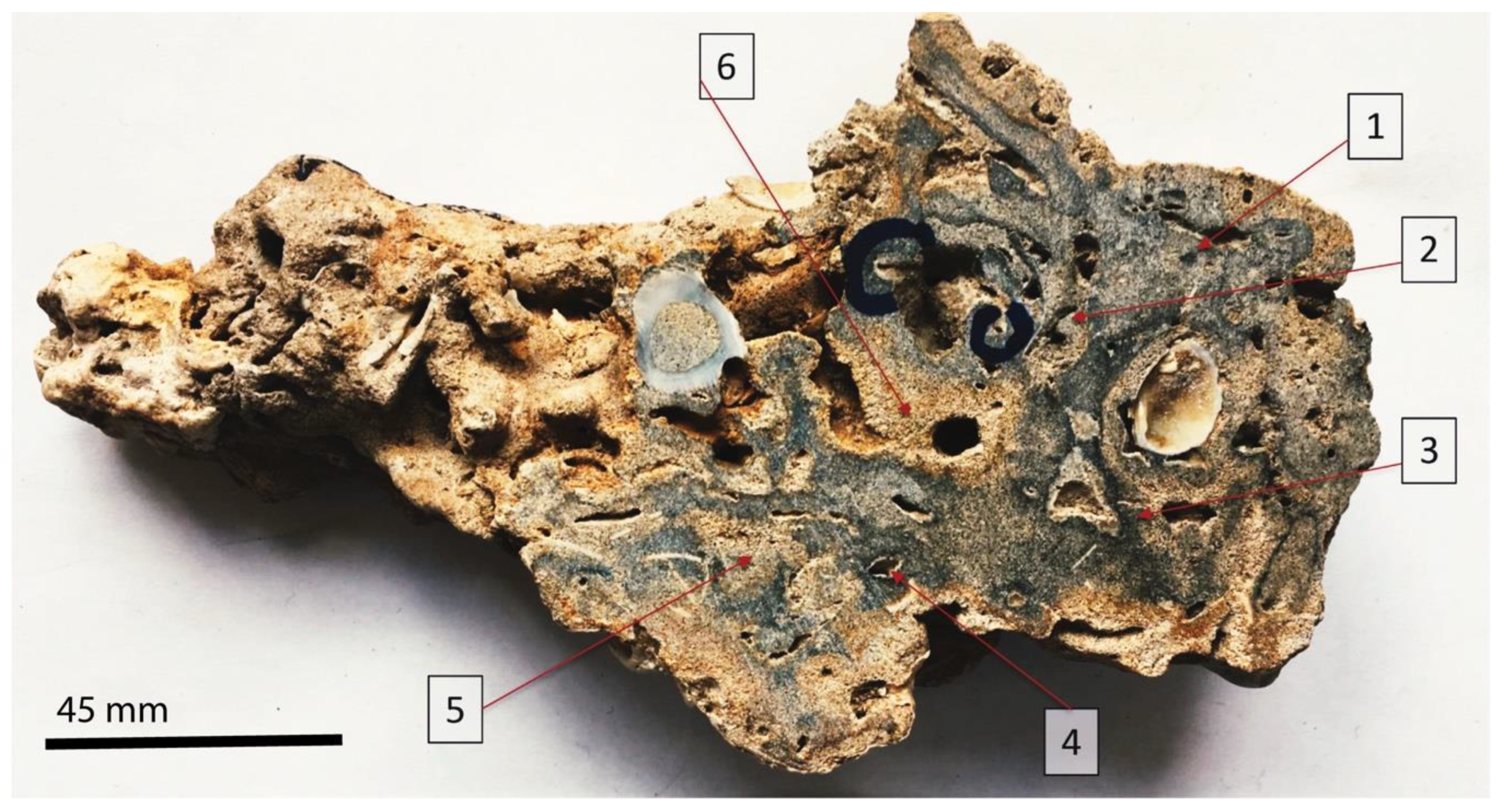 Geosciences 10 00255 g009