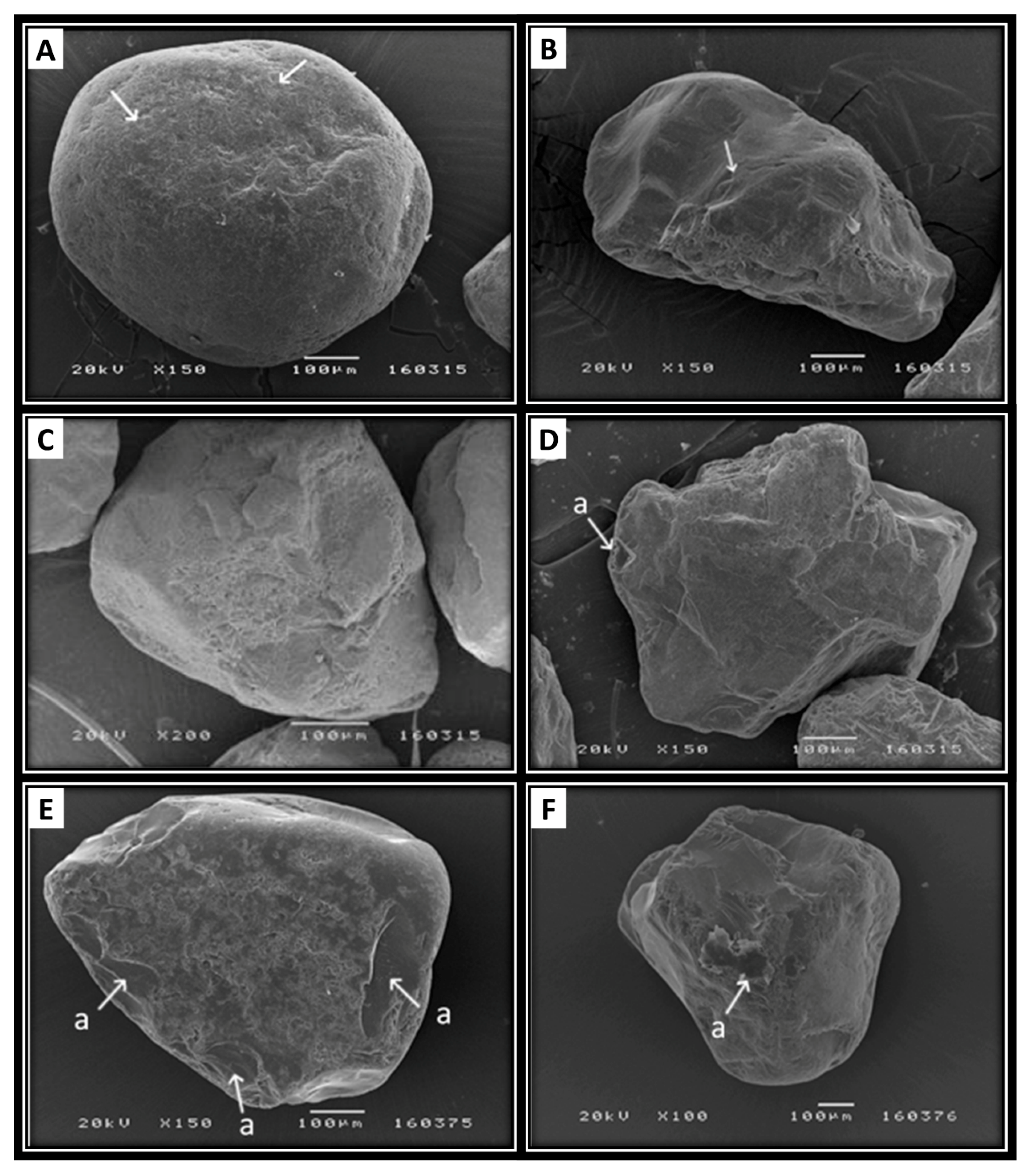 Geosciences 10 00257 g005