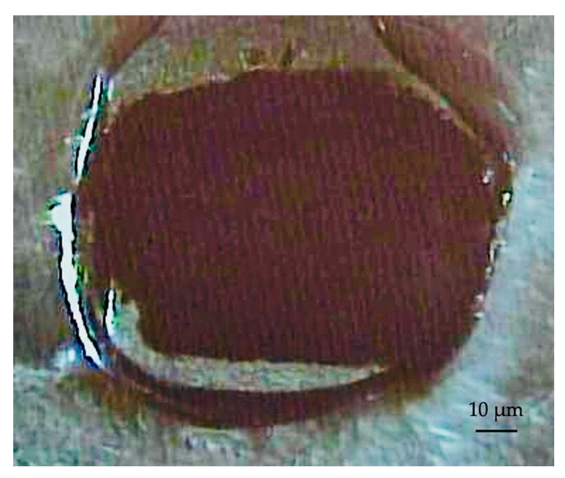 Geosciences 10 00275 g003 Geosciences 10 00275 g003