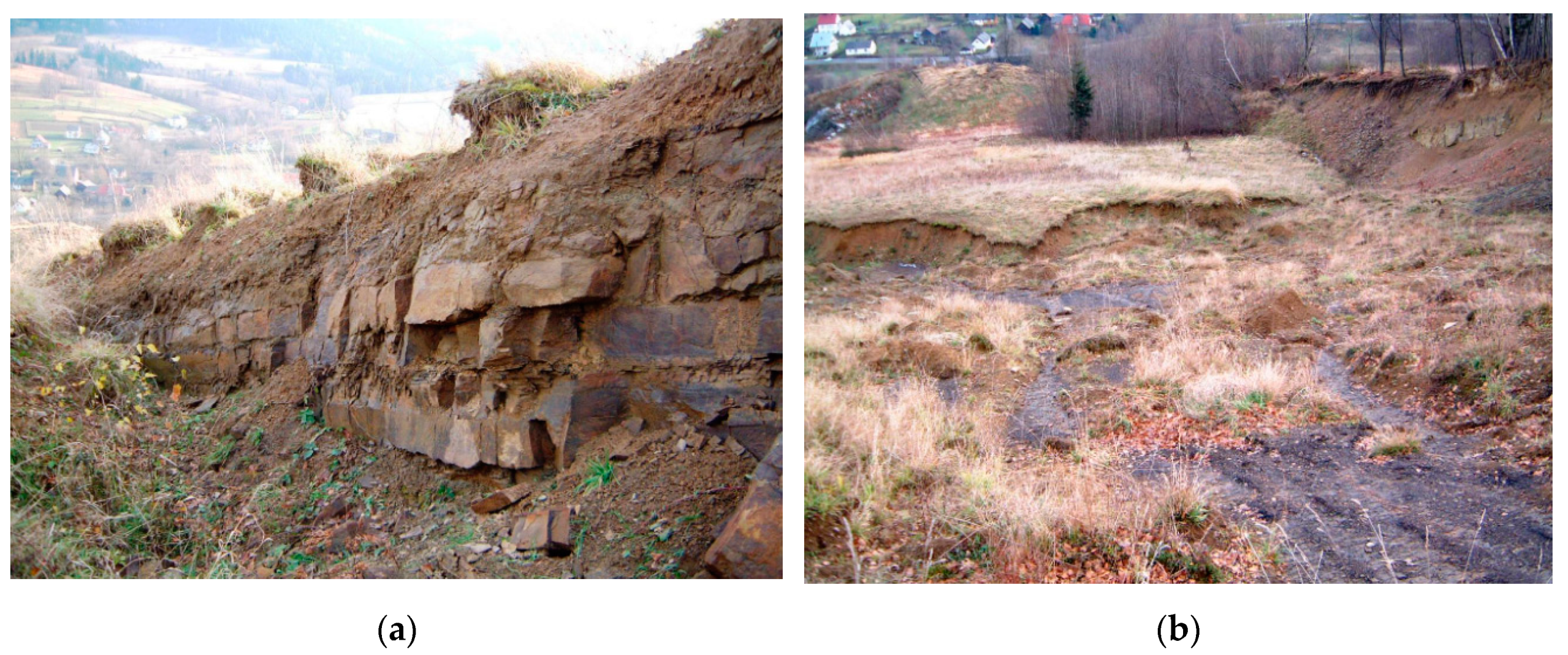 Geosciences 10 00284 g004