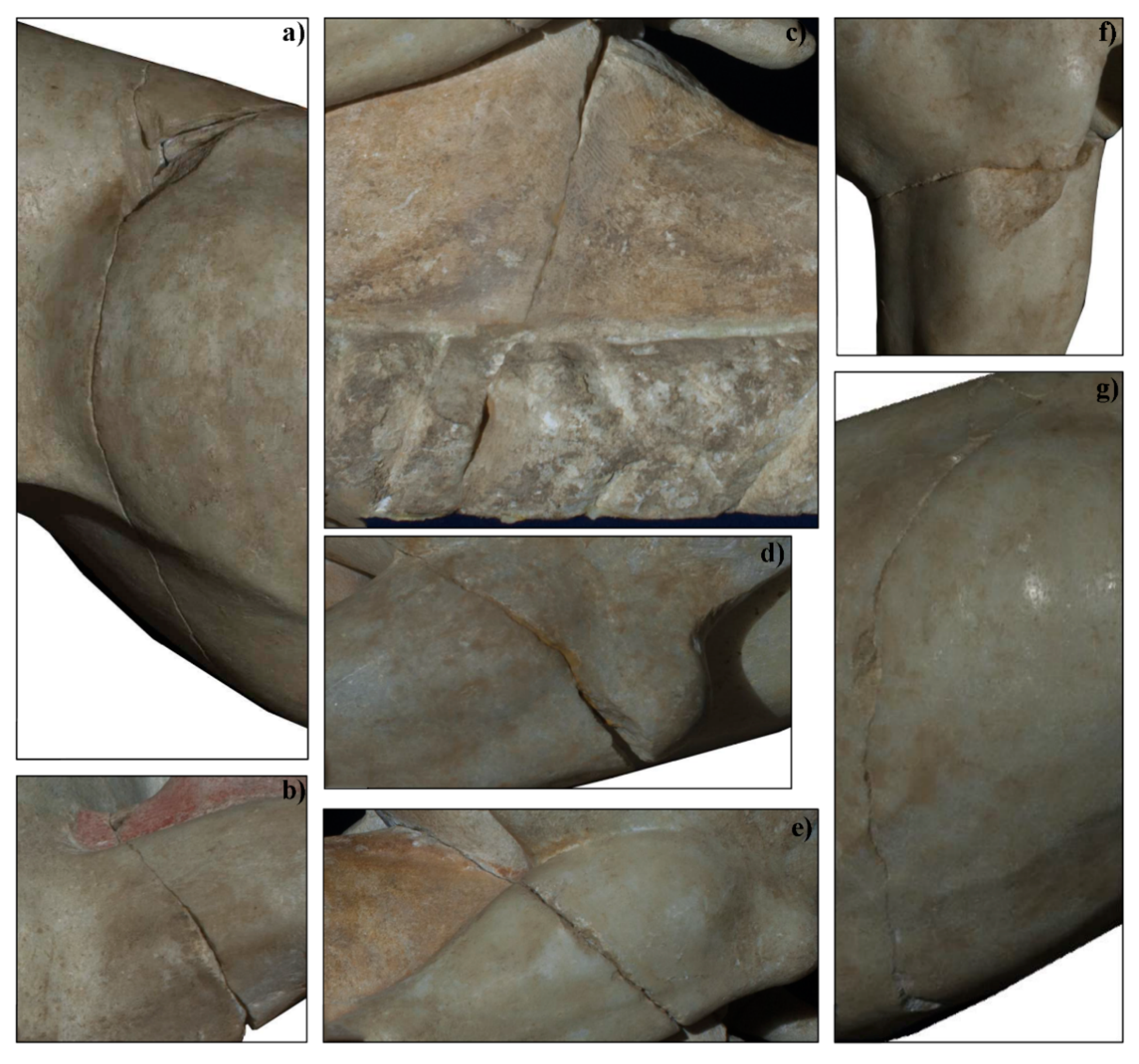 Geosciences 10 00307 g007