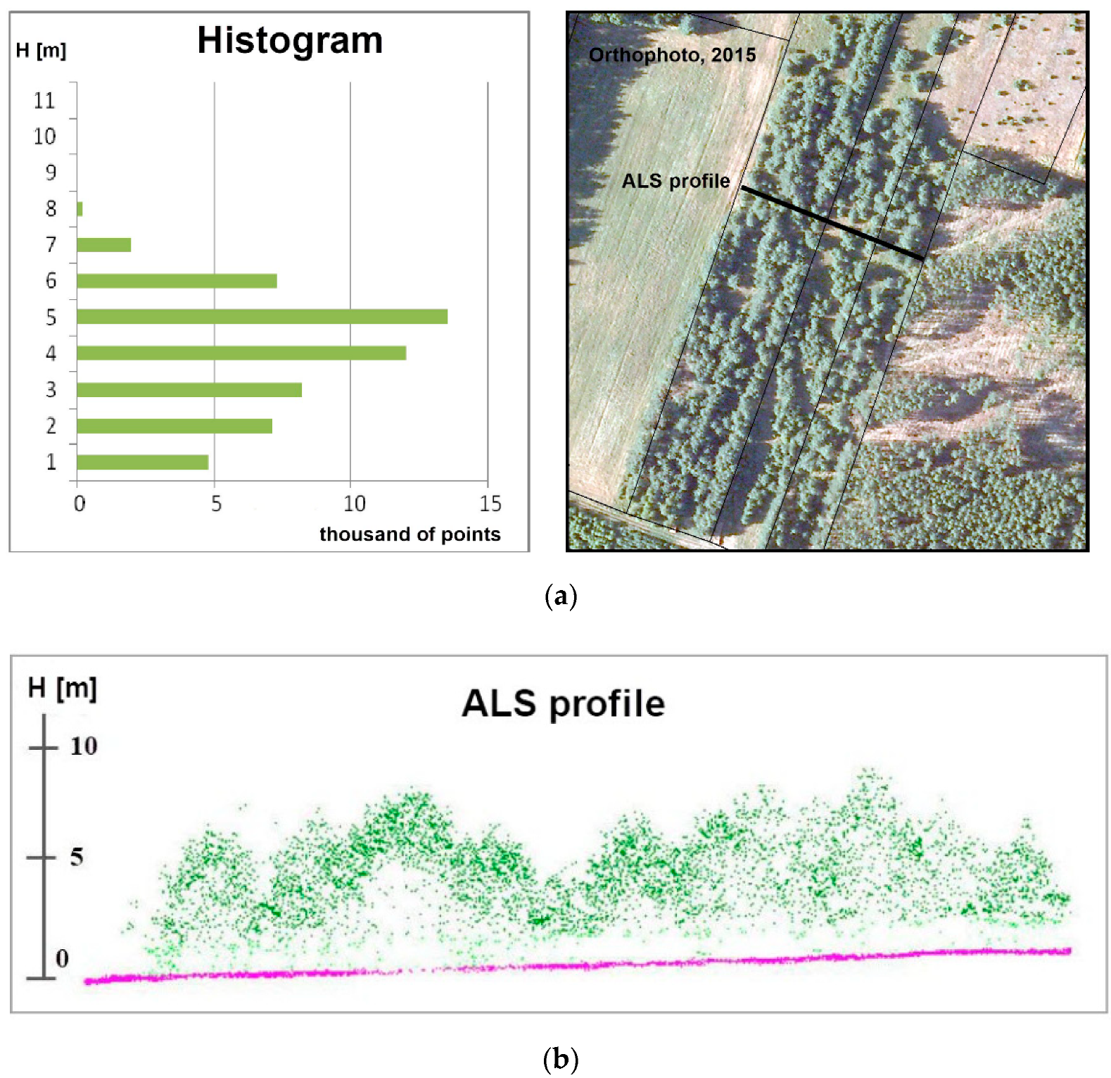 Geosciences 10 00321 g010