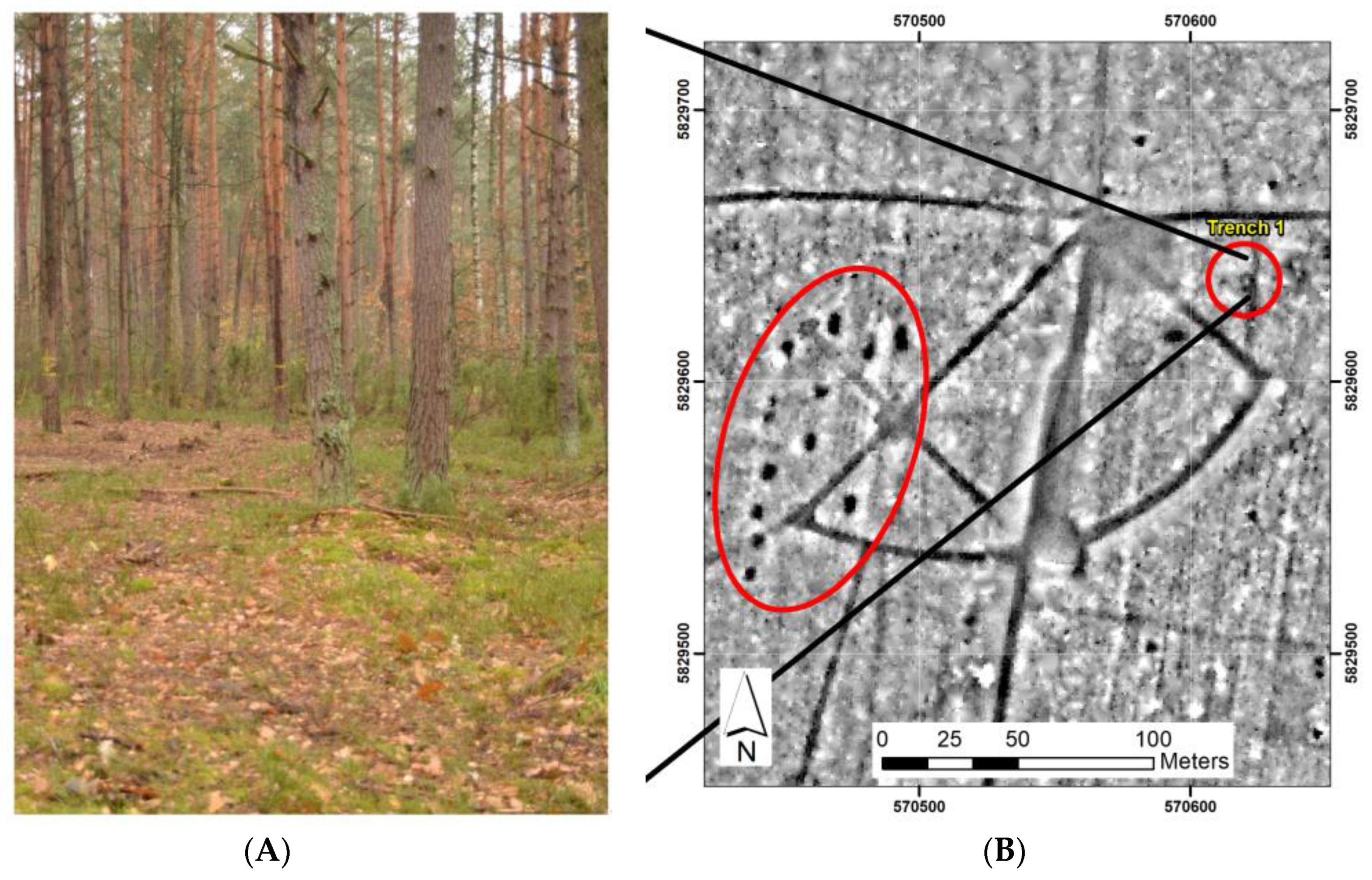 Geosciences 10 00336 g006