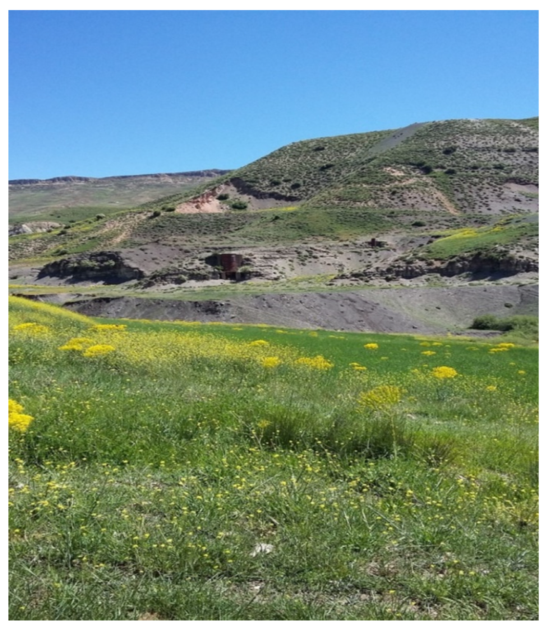 Geosciences 10 00337 g002