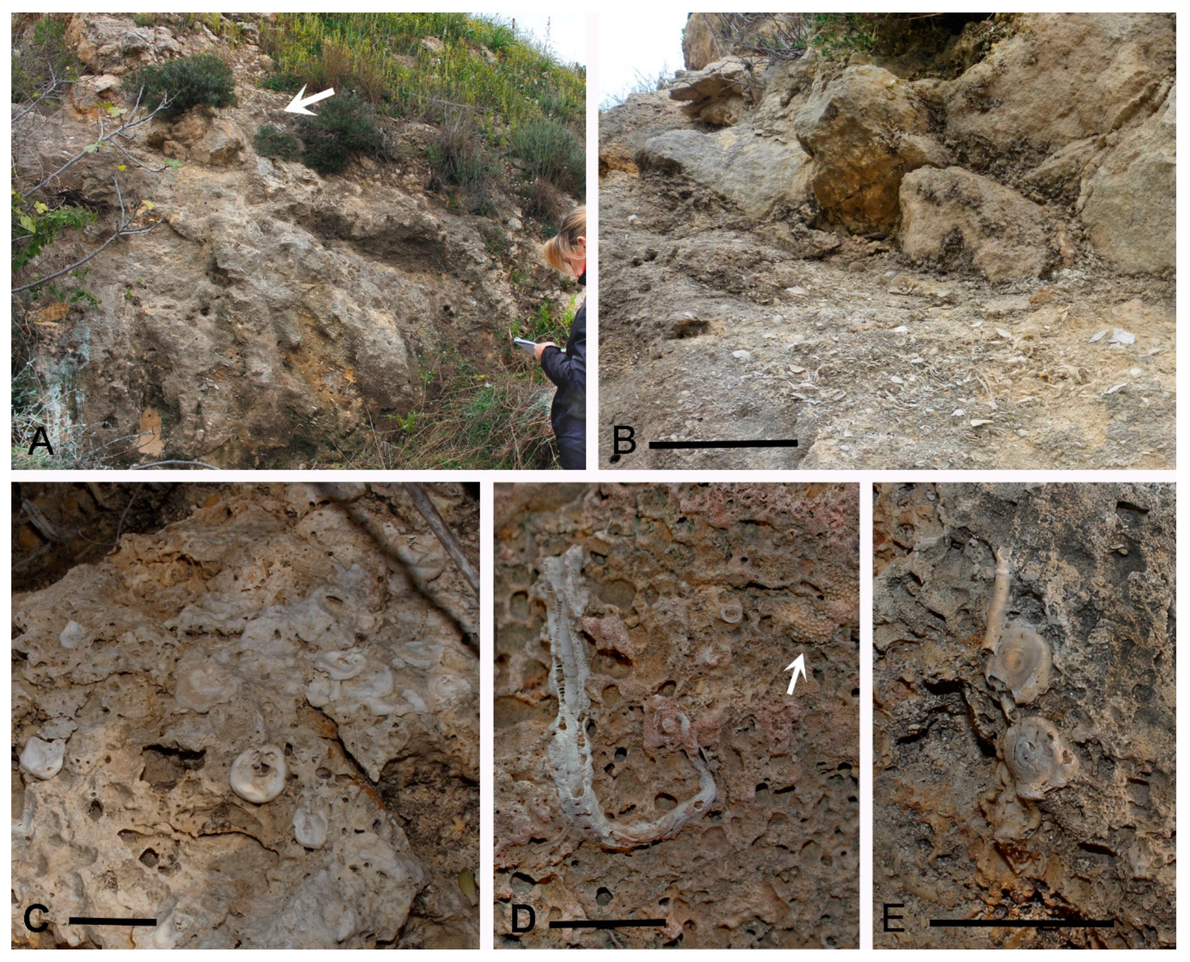 Geosciences 10 00343 g002