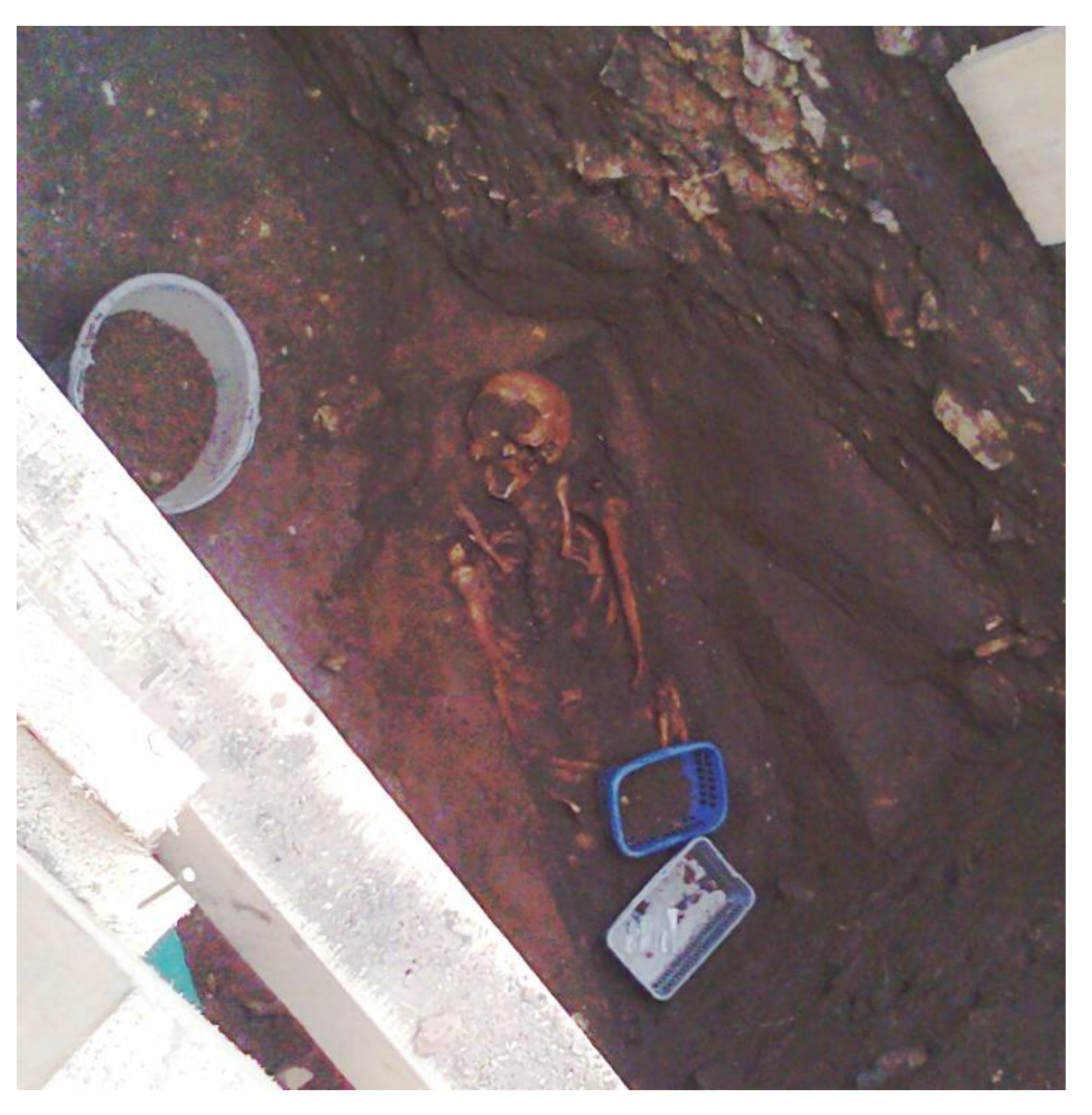 Geosciences 10 00356 g018