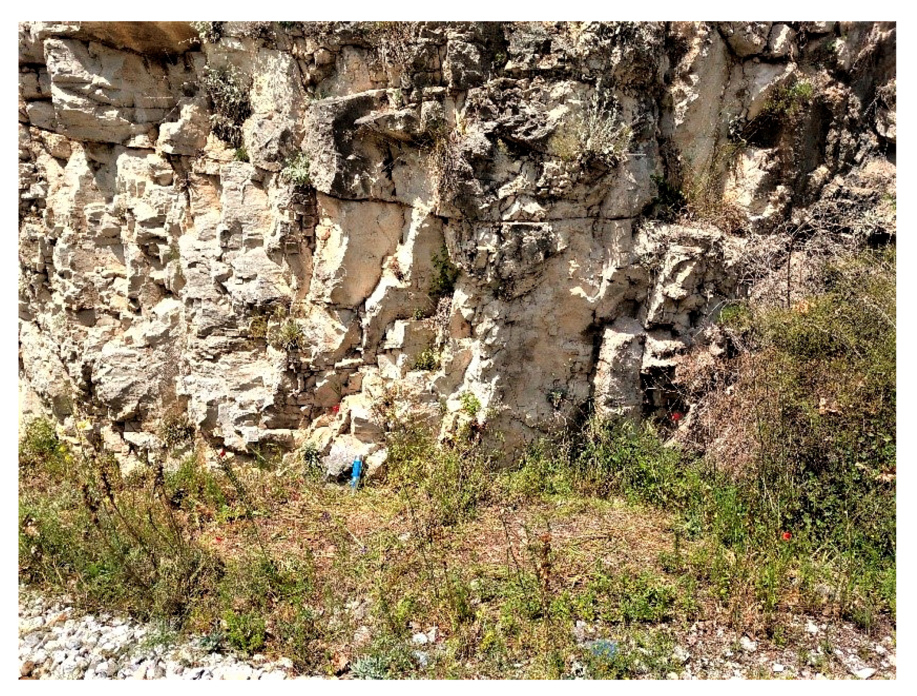 Geosciences 10 00389 g003 Geosciences 10 00389 g003