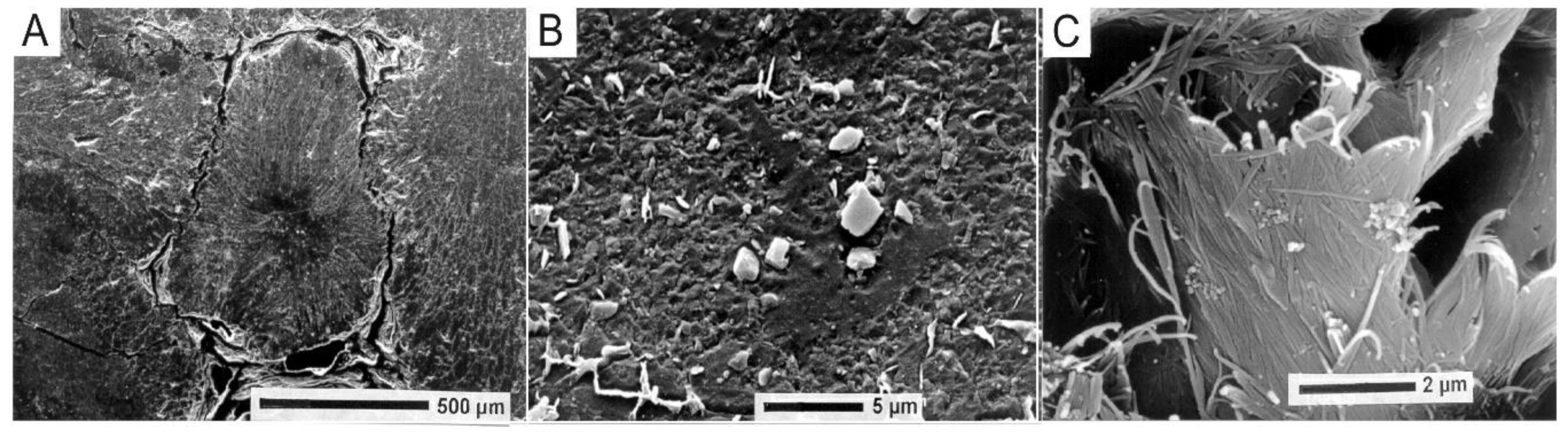 Geosciences 10 00433 g003