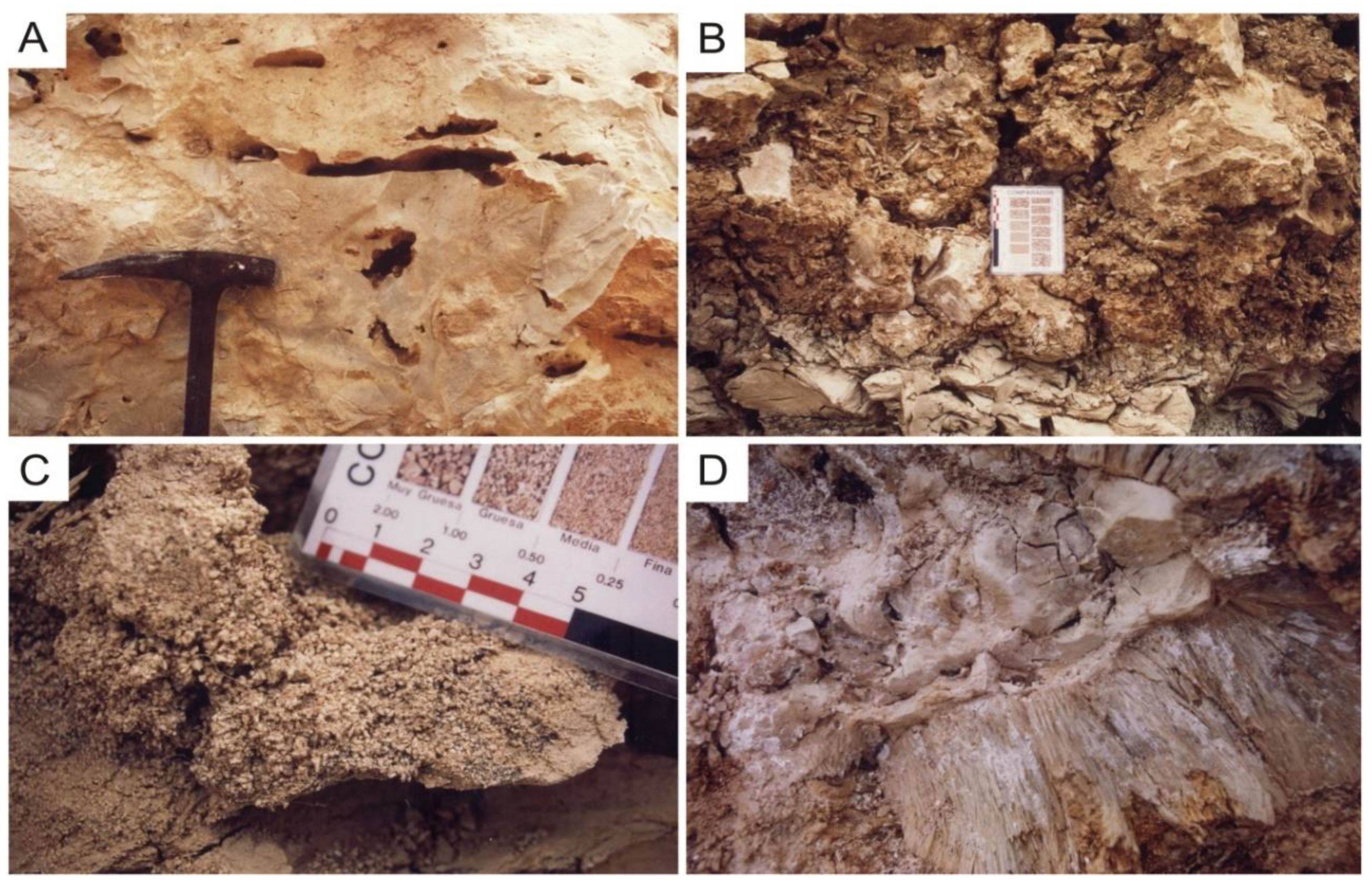 Geosciences 10 00433 g005