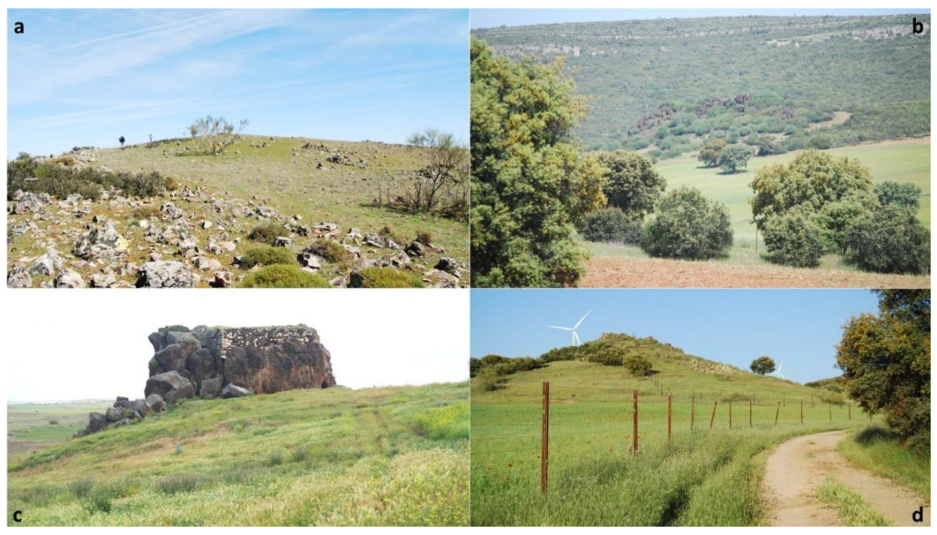 Geosciences 10 00441 g004