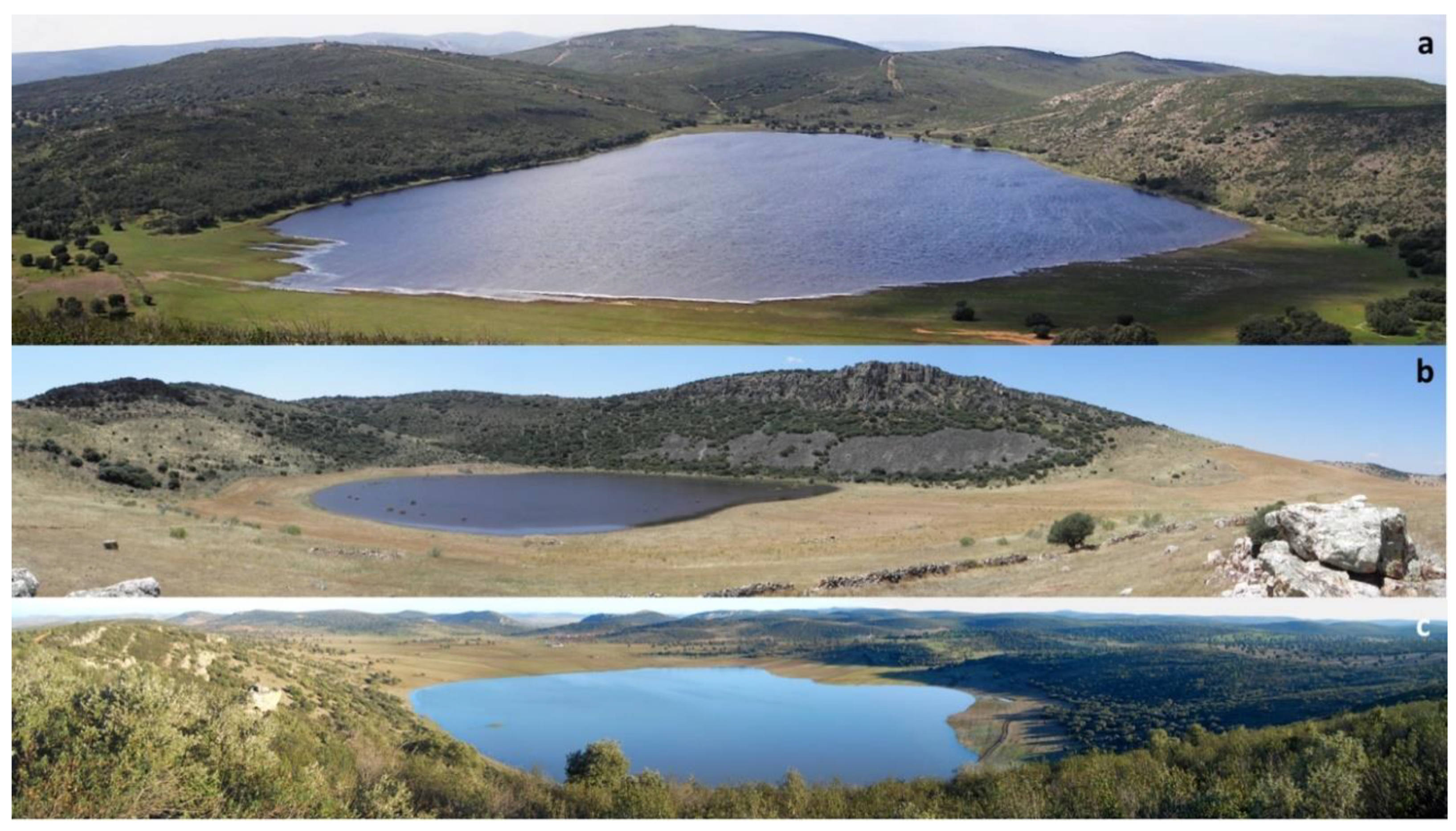 Geosciences 10 00441 g006