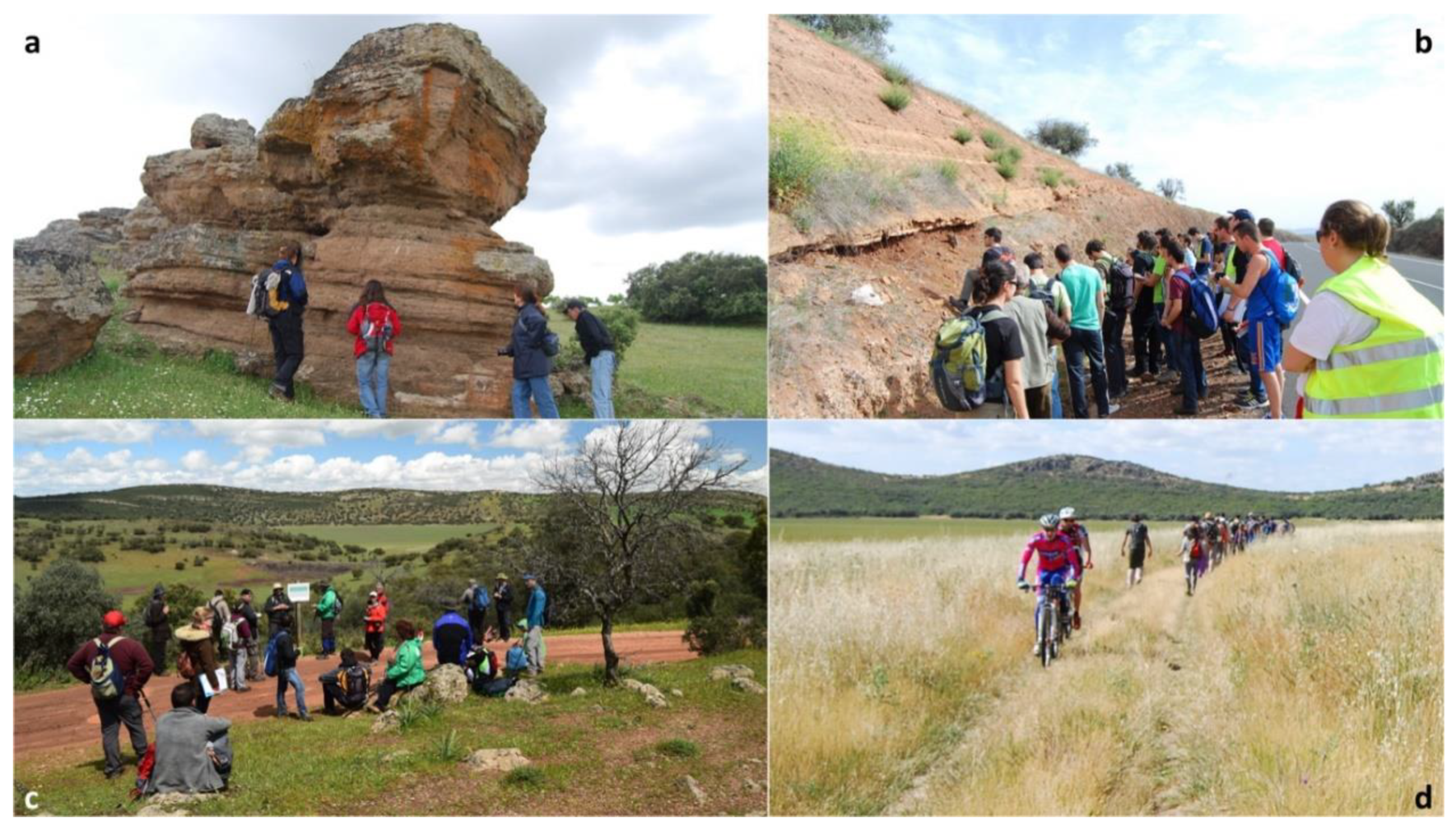 Geosciences 10 00441 g012