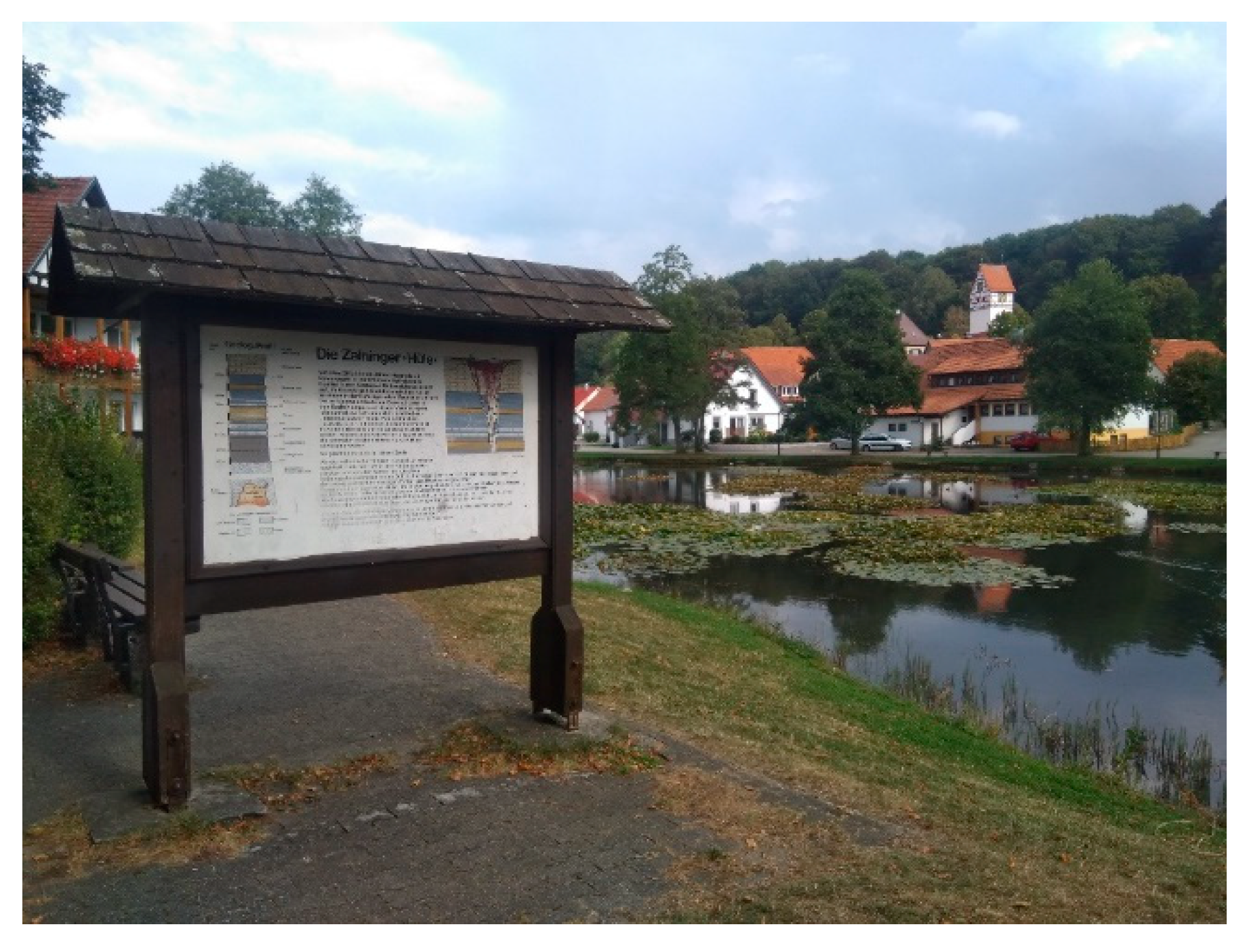 Geosciences 10 00445 g007