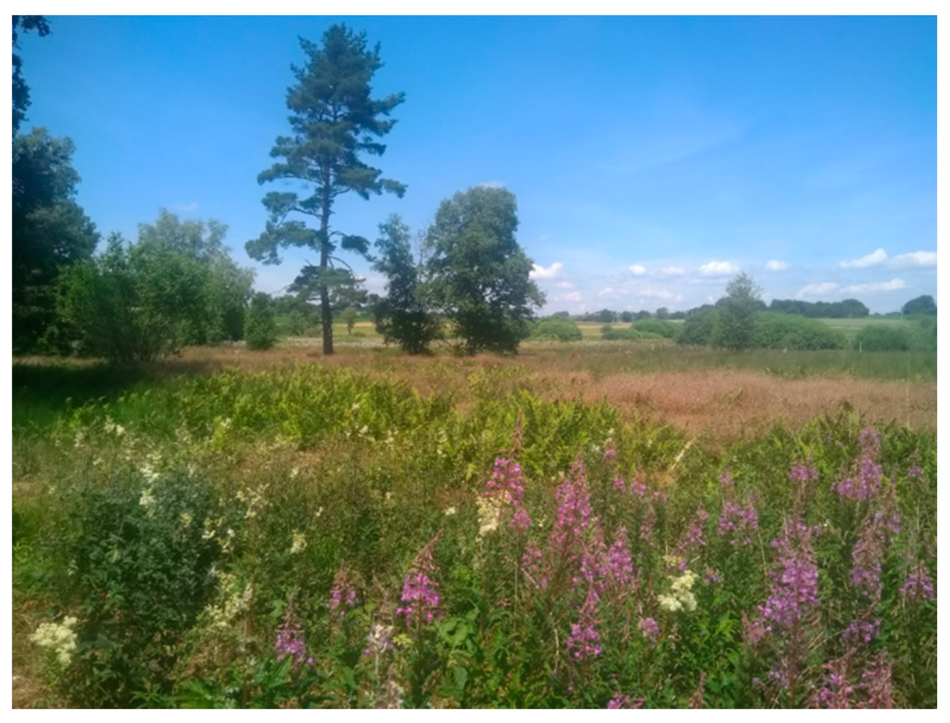 Geosciences 10 00445 g008