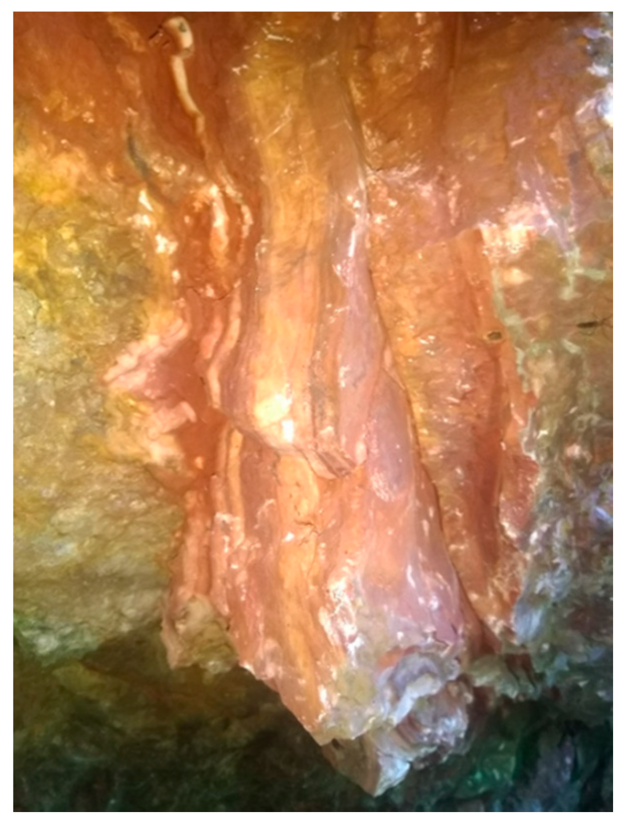 Geosciences 10 00445 g009