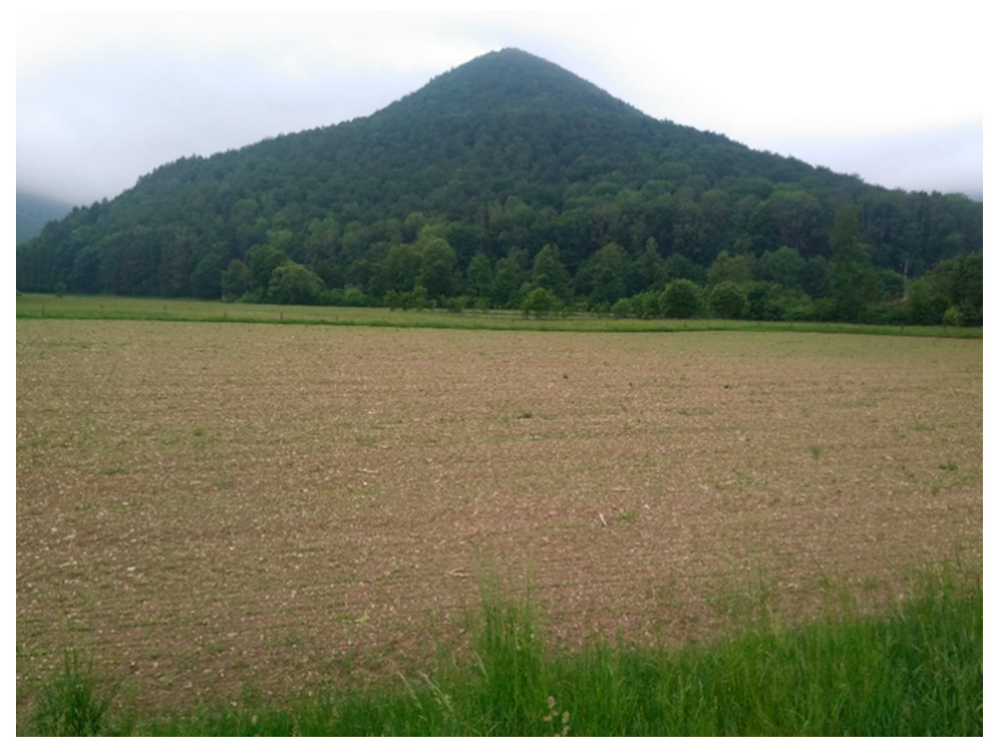 Geosciences 10 00445 g010